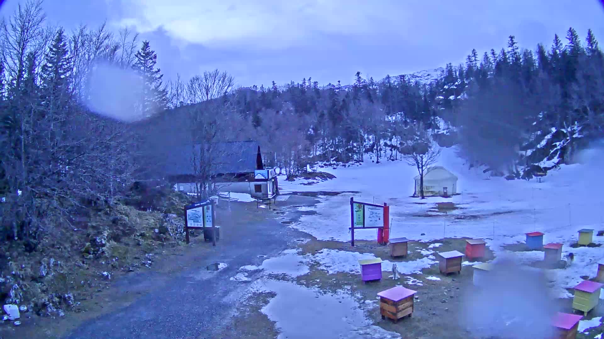 A snowy, overcast scene shows a small building, several beehives, and a partially snow-covered clearing surrounded by a forest.