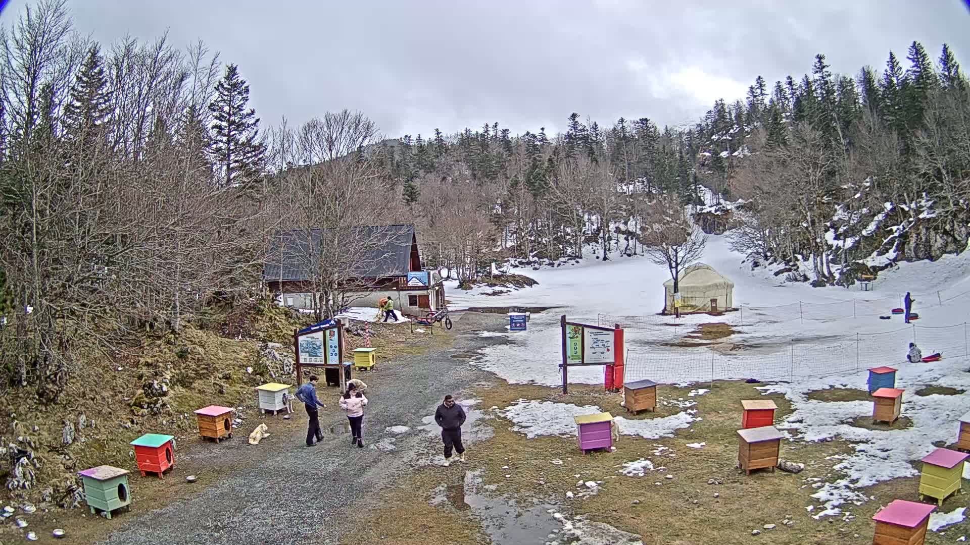 A snowy, overcast scene shows a small building, a yurt, several colorful dog houses, and people near a partially snow-covered area surrounded by leafless trees.