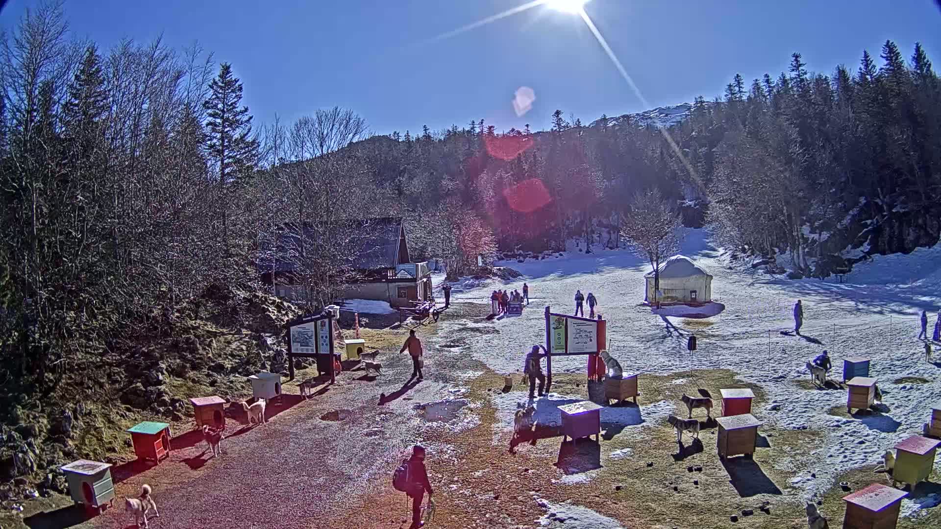 A sunny, snowy mountain scene shows people walking among numerous dog houses and several dogs, near a small building and a yurt.