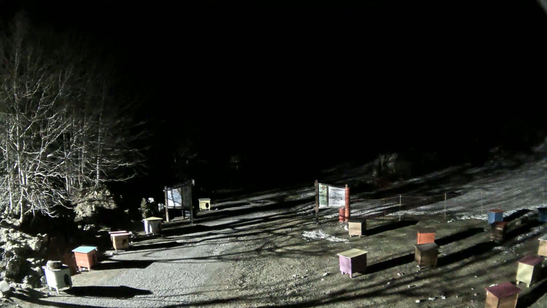 A nighttime, snow-covered, sparsely populated area with several small, colorful structures and bare trees under a dark sky.