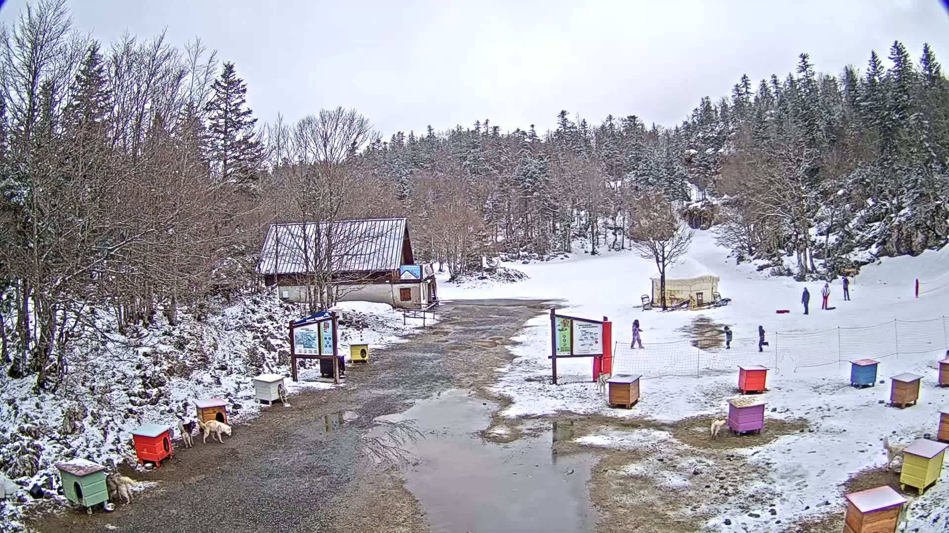 A snow-covered scene shows a small building, several colorful dog houses, and a few people near a snowy hillside with a forest in the background under an overcast sky.