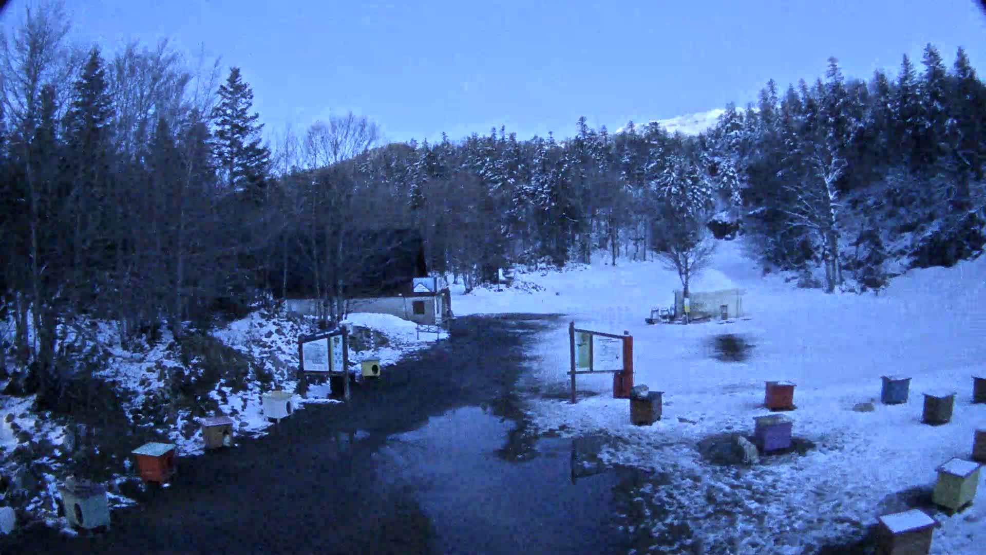 A snow-covered parking area with several small buildings and a few beehives sits before a dark evergreen forest under a twilight sky.