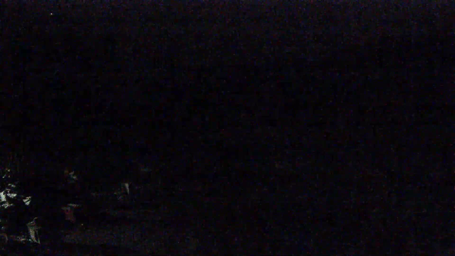 A very dark image shows faintly illuminated objects near the bottom, possibly vegetation, under a night sky.