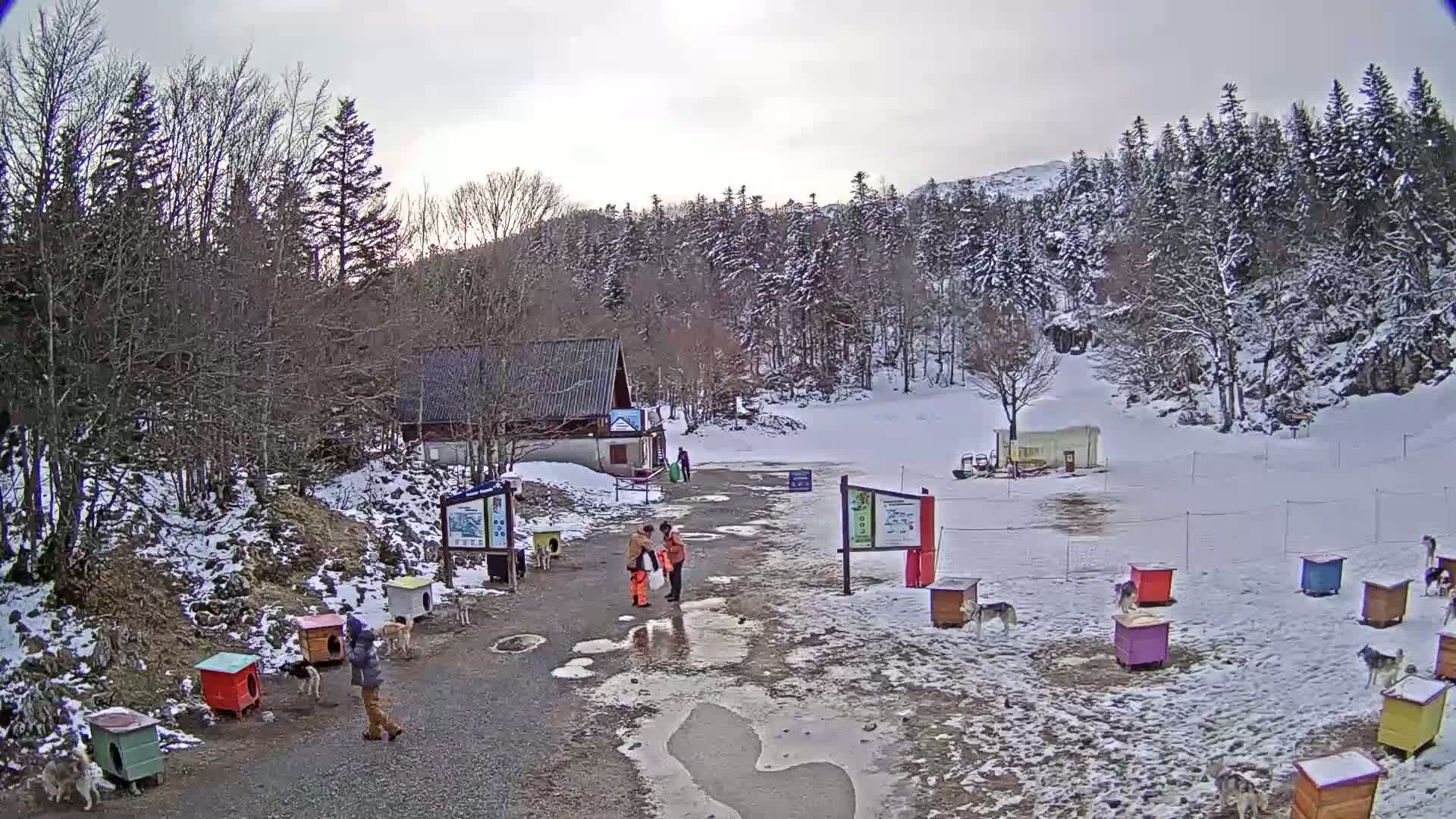 A snowy, overcast scene shows a small building and several colorful dog houses in a clearing surrounded by snow-covered trees, with several people and dogs present.