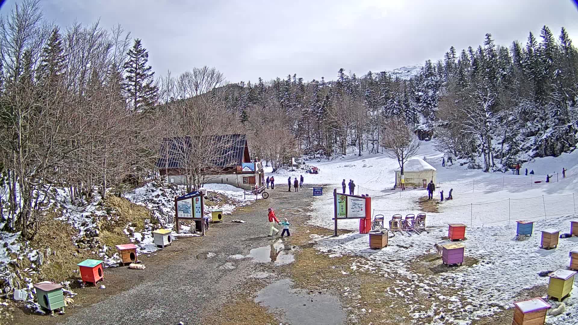 A snowy, partially sunny scene shows a small building, a few people, colorful dog houses, and a snow-covered hill with people sledding.