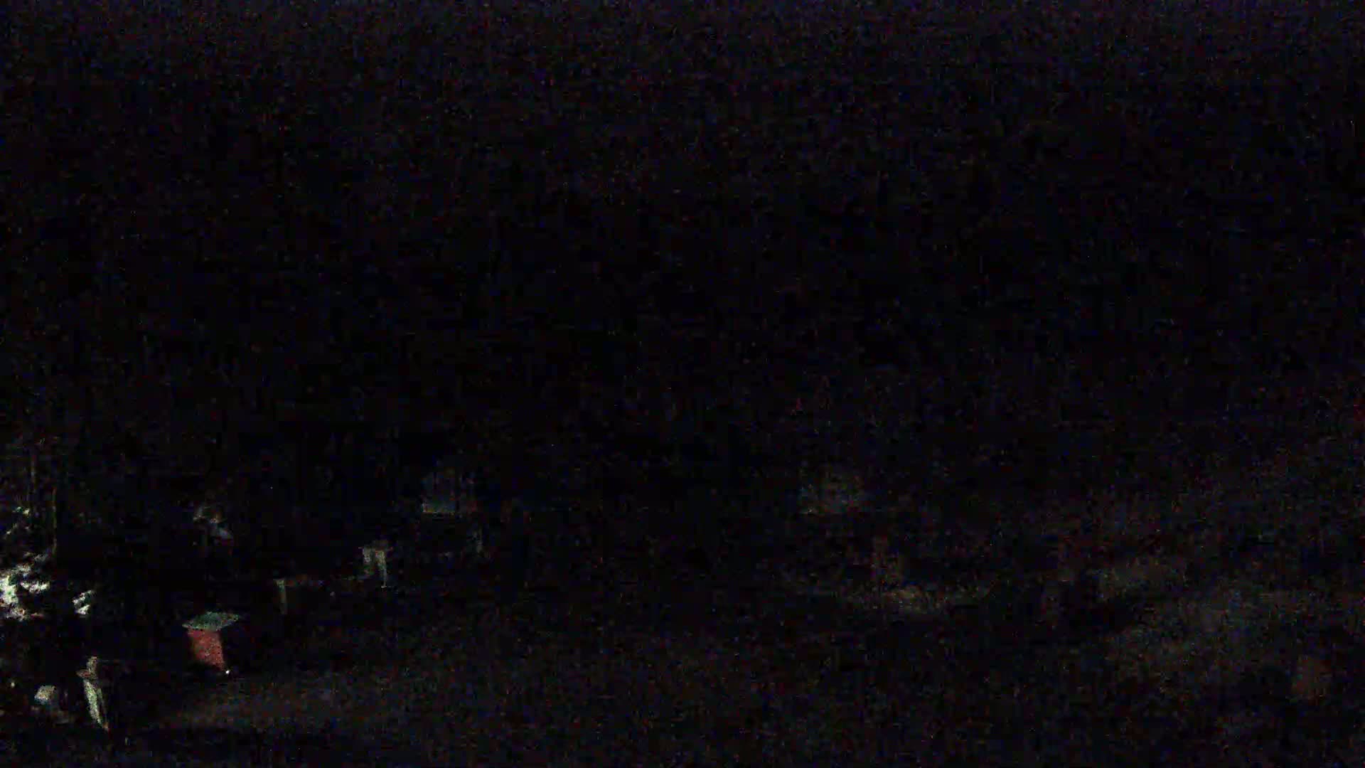 A very dark, nighttime image shows indistinct shapes that could be buildings and vegetation.