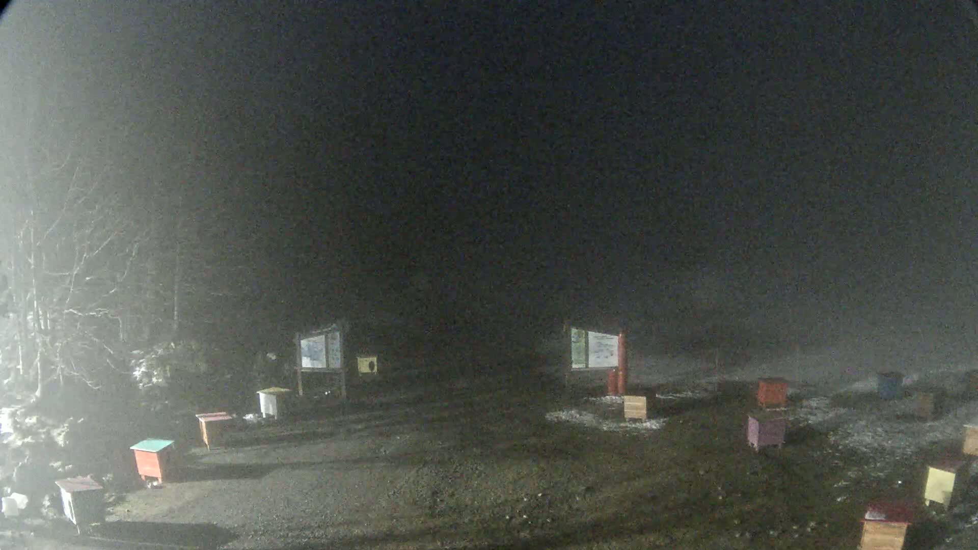 A foggy night scene shows several small, colorful structures scattered across a dark, gravelly area near some bare trees.