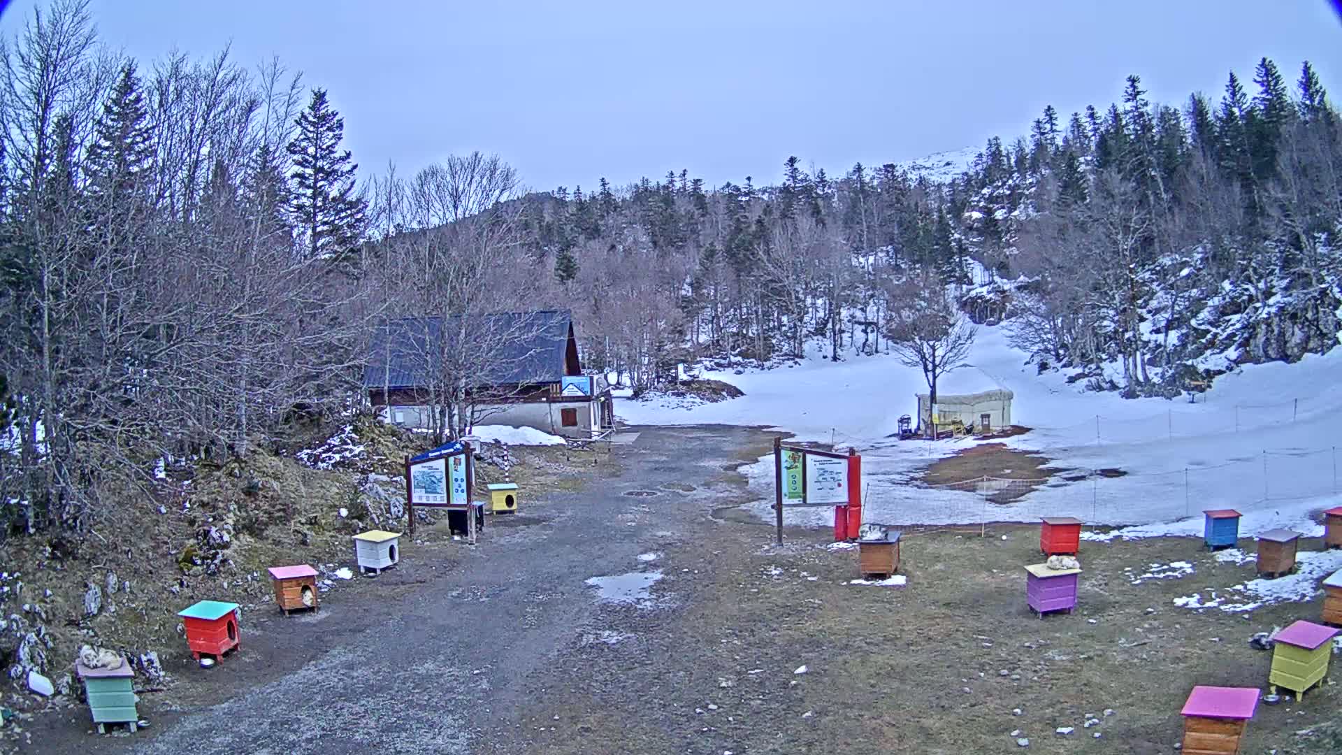 A mostly clear day reveals a snow-covered area with a small building, several colorful dog houses, and a sparse forest in the background.