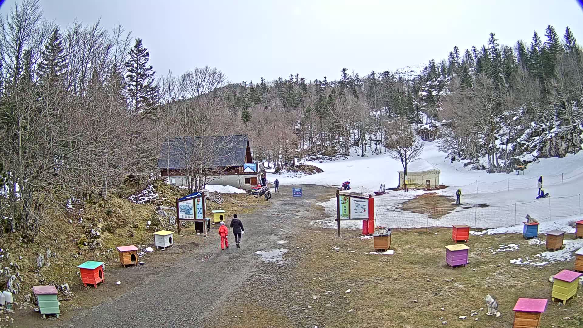 A snowy, overcast day at a ski resort shows a small building, several people, and colorful dog houses lining a gravel path near a snow-covered slope.