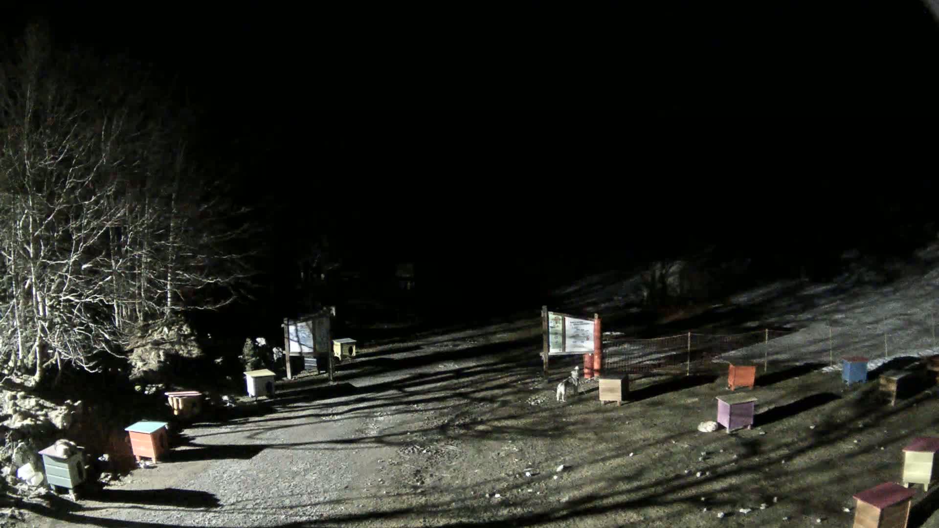 At night, under a dark sky, a snow-dusted ground holds several small, colorful structures near leafless trees and a low wire fence.