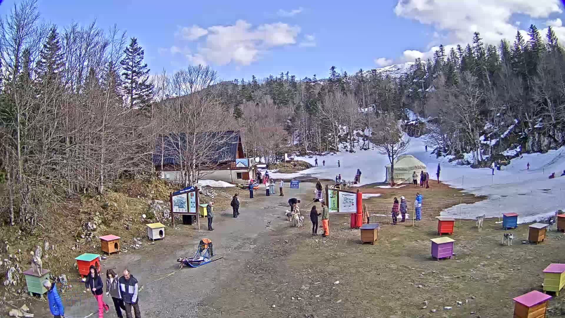 A sunny day at a snowy, mountainous dog sledding area shows people gathered near a small building and a yurt, with many colorful dog kennels scattered about and dogs milling nearby.