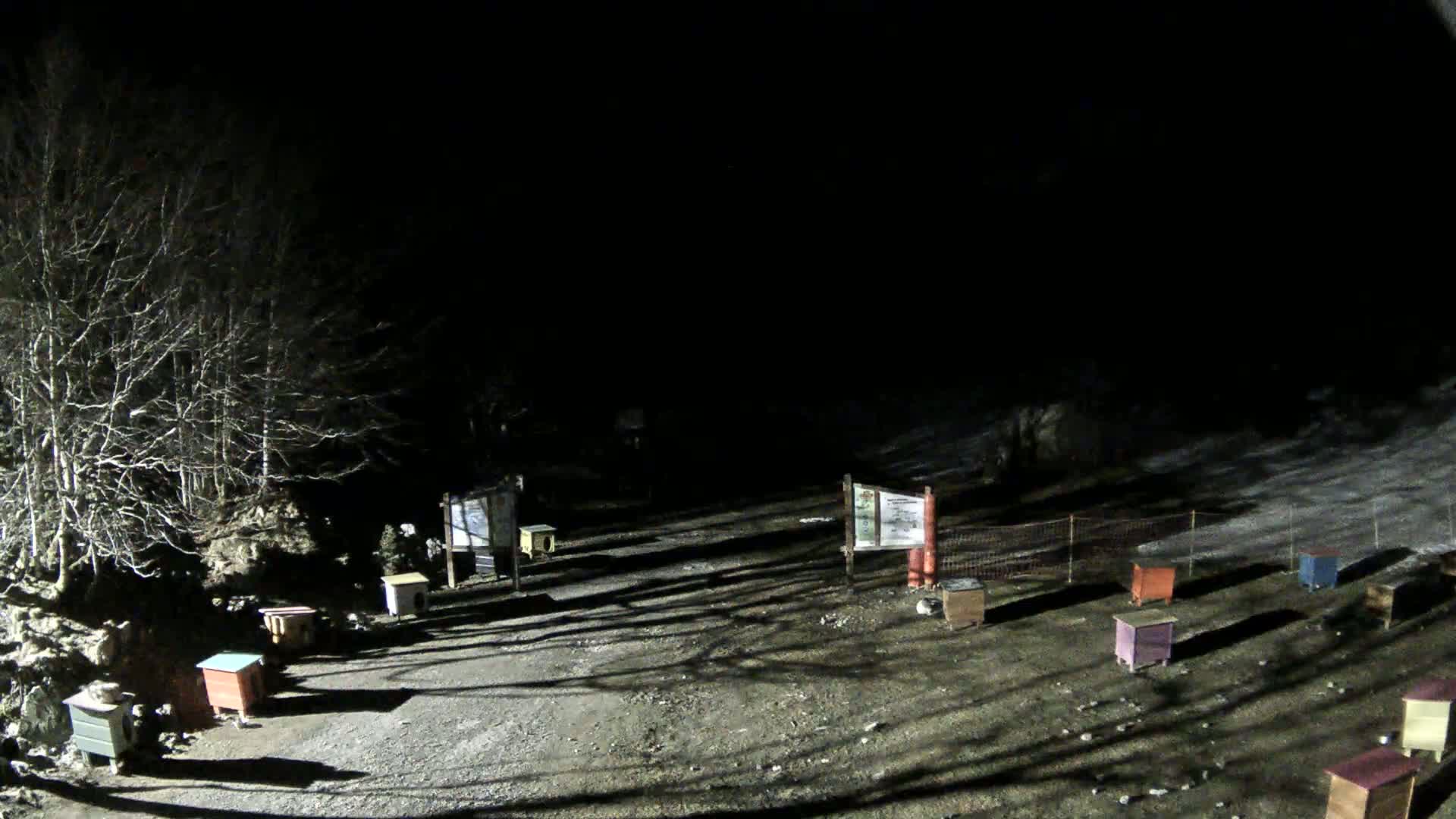 A nighttime, snow-dusted, gravelly area with several small colorful boxes and bare trees is illuminated by artificial light.