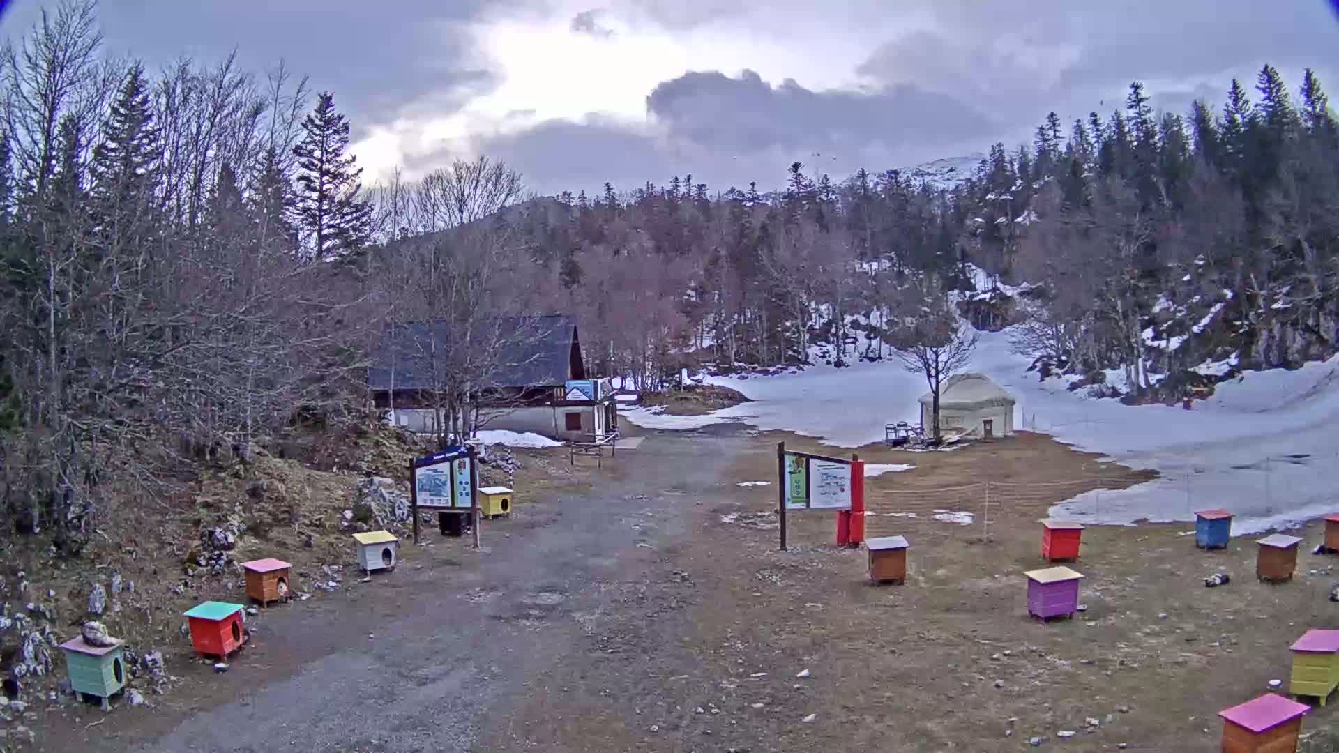 A gravel path leads to a small building nestled in a snow-dusted mountain forest under a cloudy sky, with colorful dog houses lining the path.