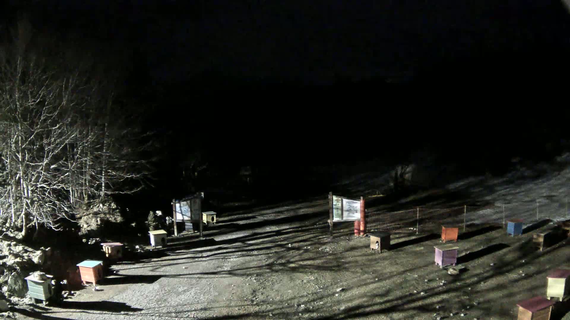 At night, a snow-covered area is illuminated, showing several small, colorful dog houses scattered around, near bare trees and informational signs.