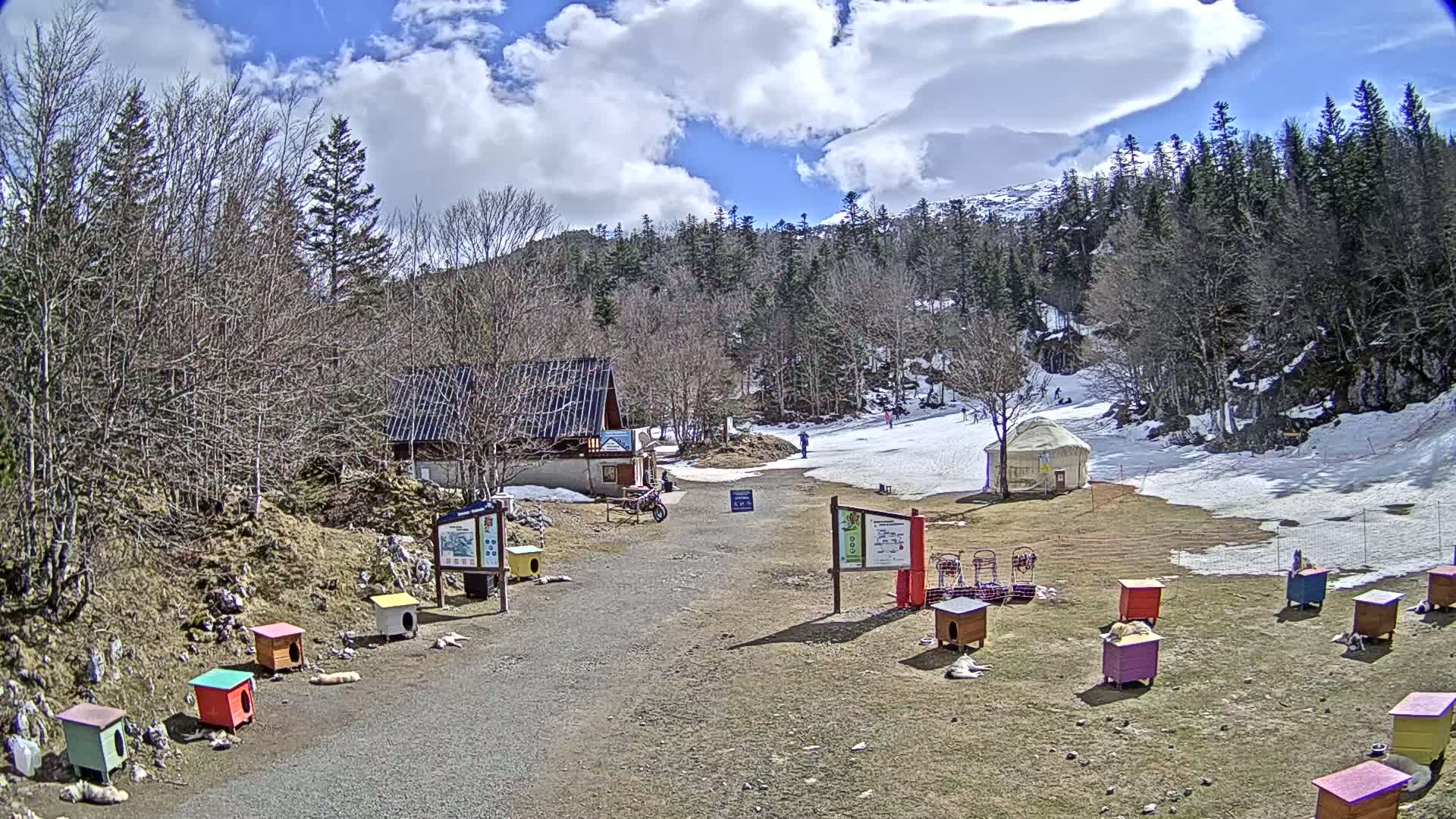 A sunny day in a snow-dusted mountainous area shows a small building, a yurt, several colorful dog houses, and a gravel path leading toward a sparsely populated ski slope.