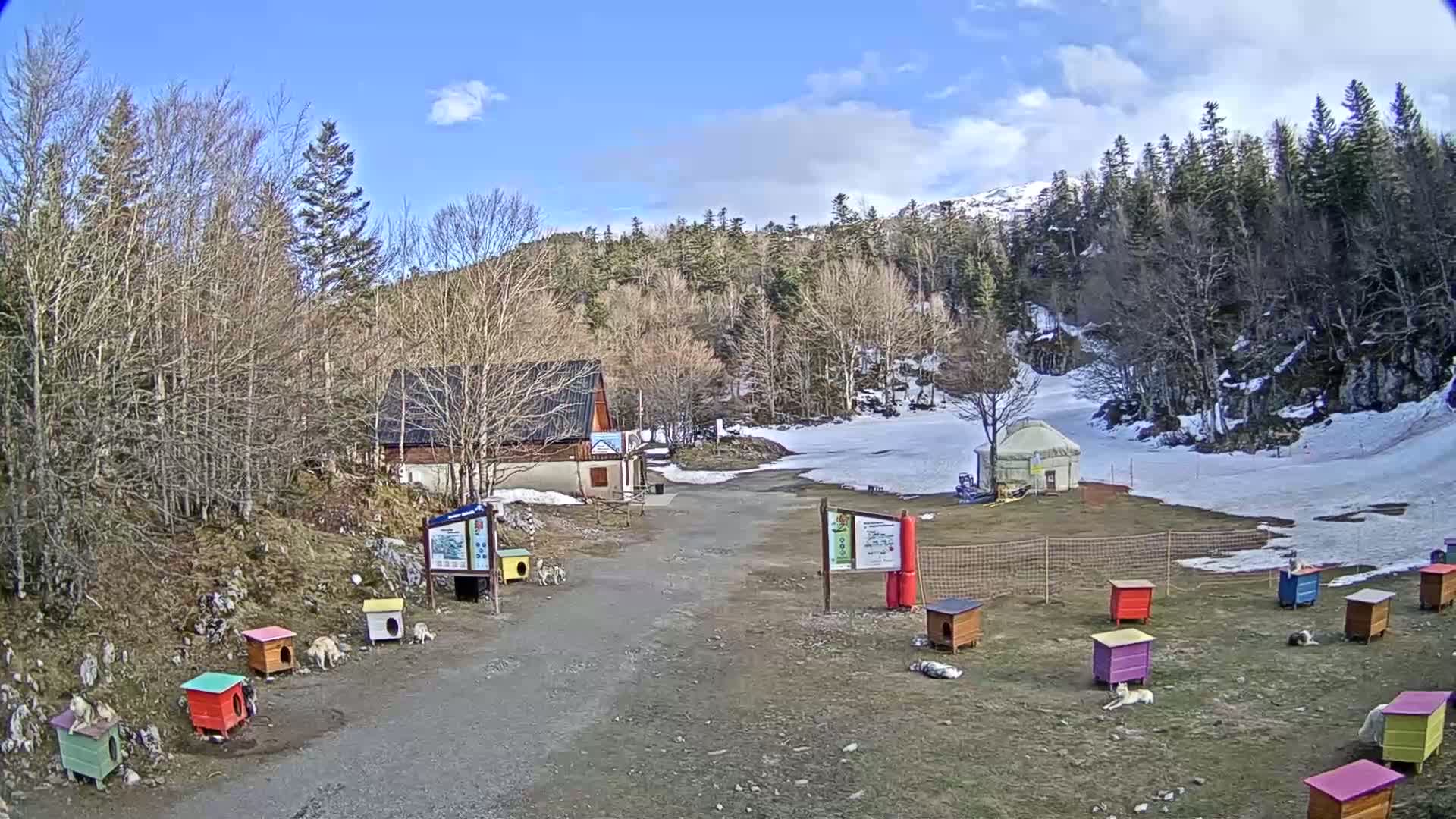 A mostly sunny day with some clouds shows a dirt road leading to a small building and yurt nestled in a mountainous area with patchy snow, surrounded by numerous colorful dog houses with dogs resting near them.