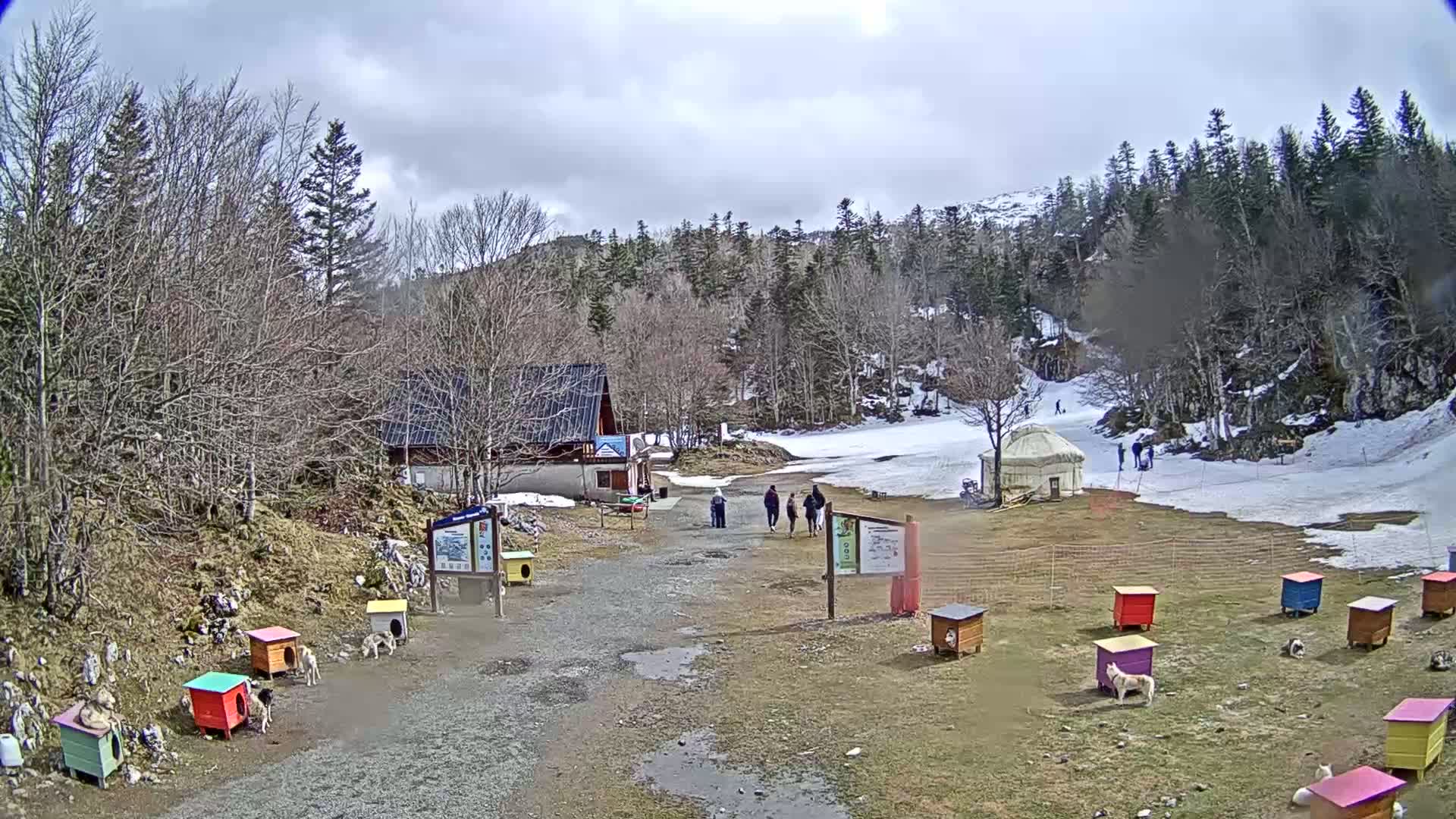 A small, snowy, mountainous area with a building, a yurt, several people walking, and numerous colorful dog houses with dogs near them under a cloudy sky.