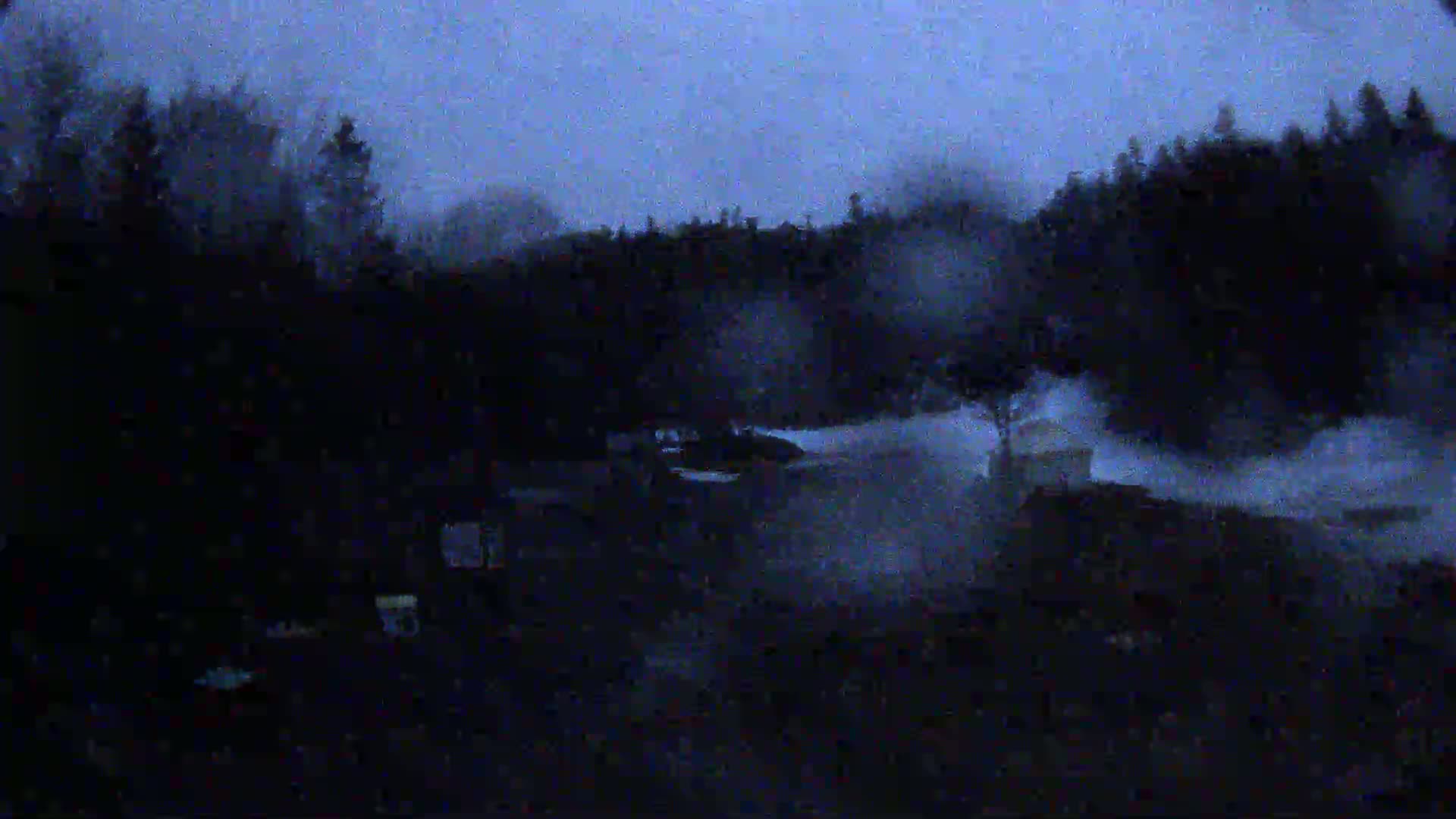 A dark, foggy scene at night shows a line of trees in the background and a few indistinct structures in the foreground.