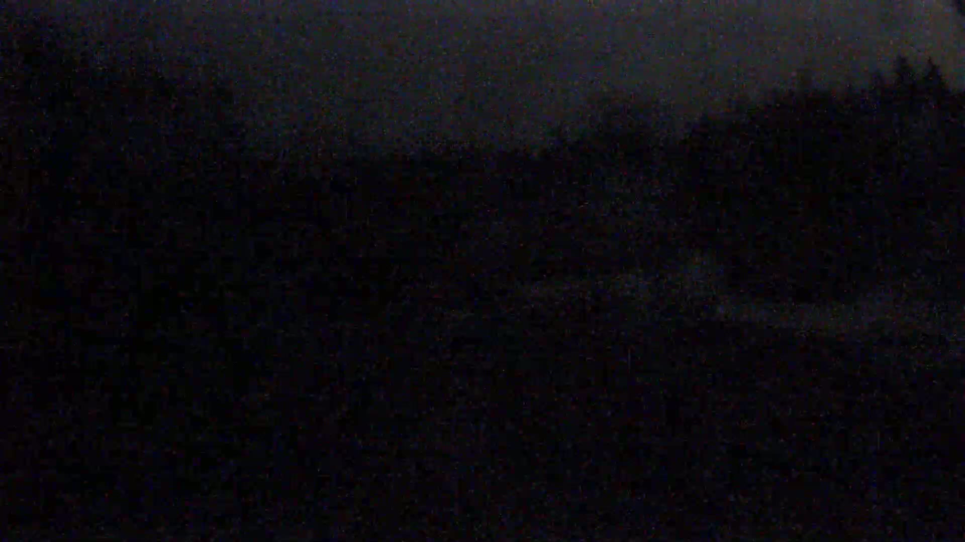 A dark, blurry image shows a nighttime outdoor scene of trees and possibly a field under a dark sky.