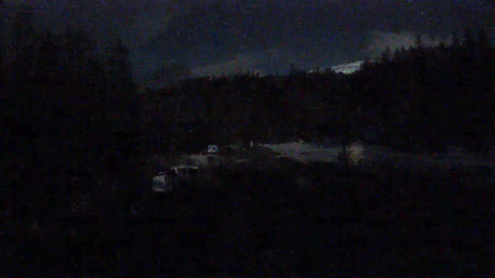 A dark, nighttime scene shows a road cutting through a wooded area under a cloudy sky.