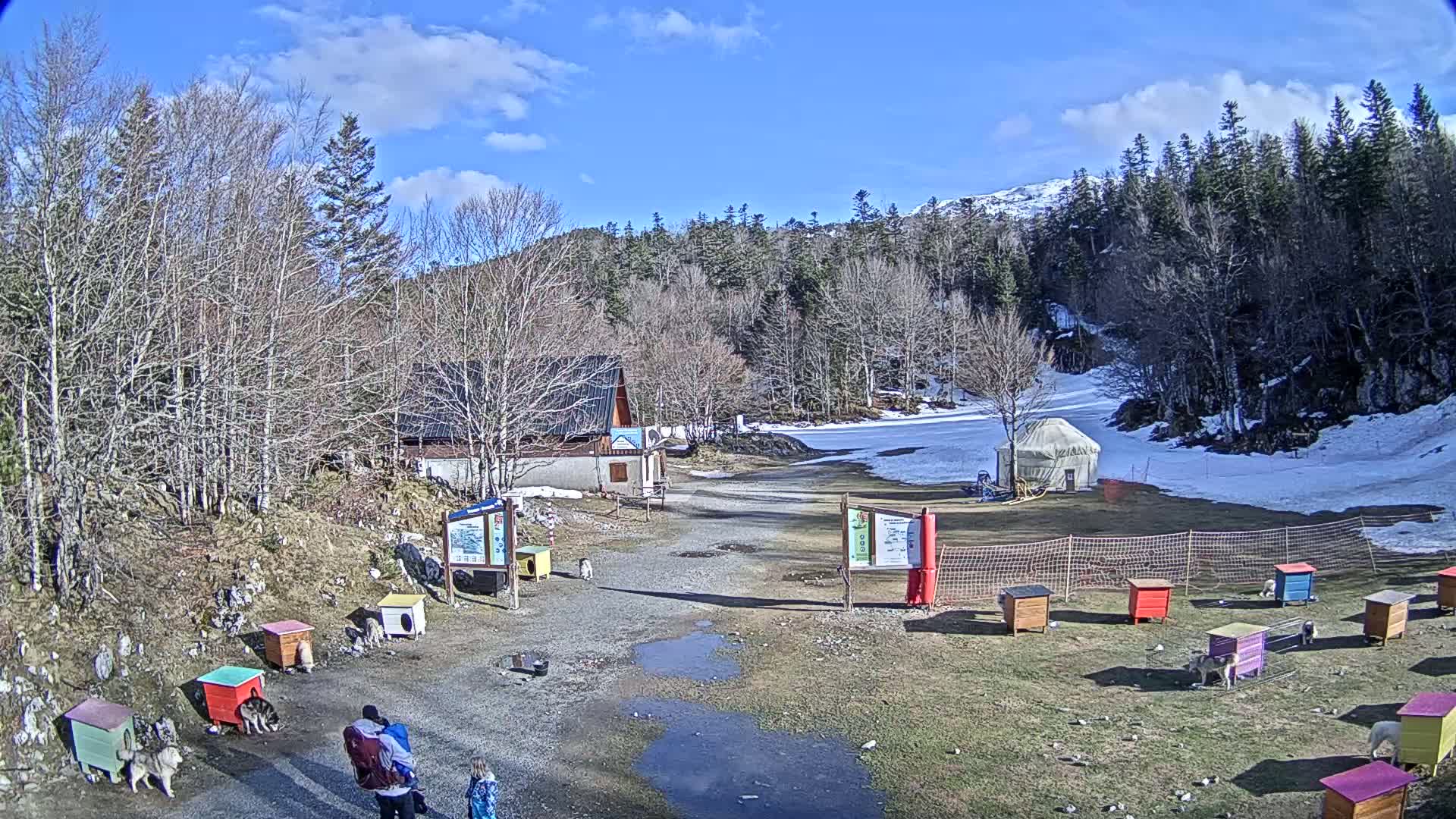 A sunny day at a snowy mountain resort shows a small building, a yurt, several colorful dog houses with dogs inside, and people walking near the base of a slope.