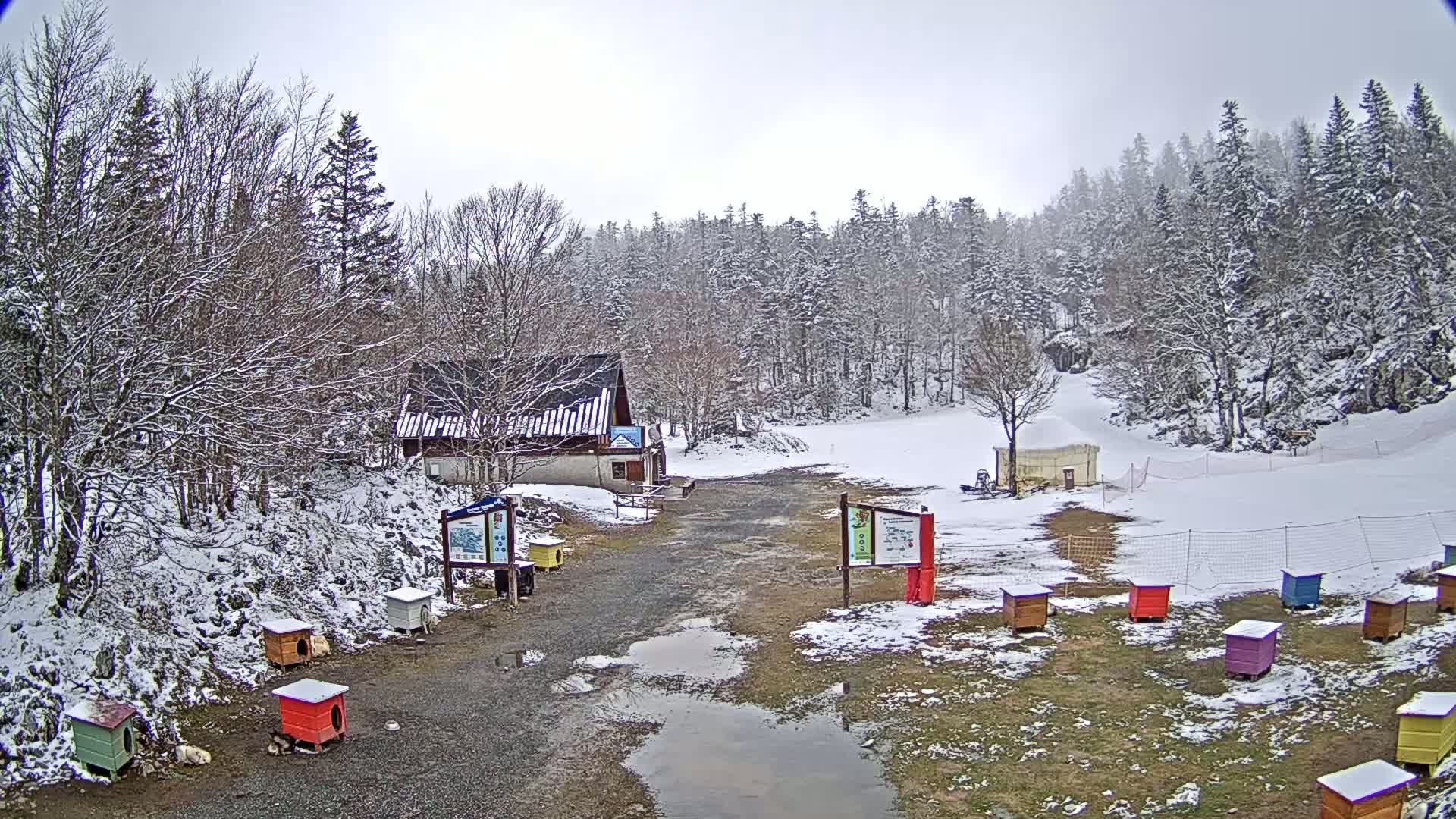 A snow-covered landscape with a small building, a muddy path, and colorful structures possibly dog houses, sits in front of a snow-dusted forest under an overcast sky.
