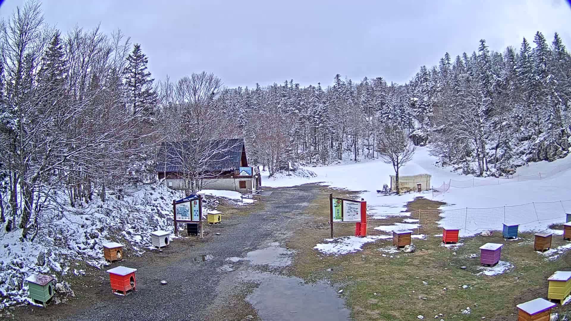 A snow-covered landscape with a small building, numerous colorful beehives, and puddles of meltwater on a gravel path, all surrounded by a snow-dusted forest under an overcast sky.