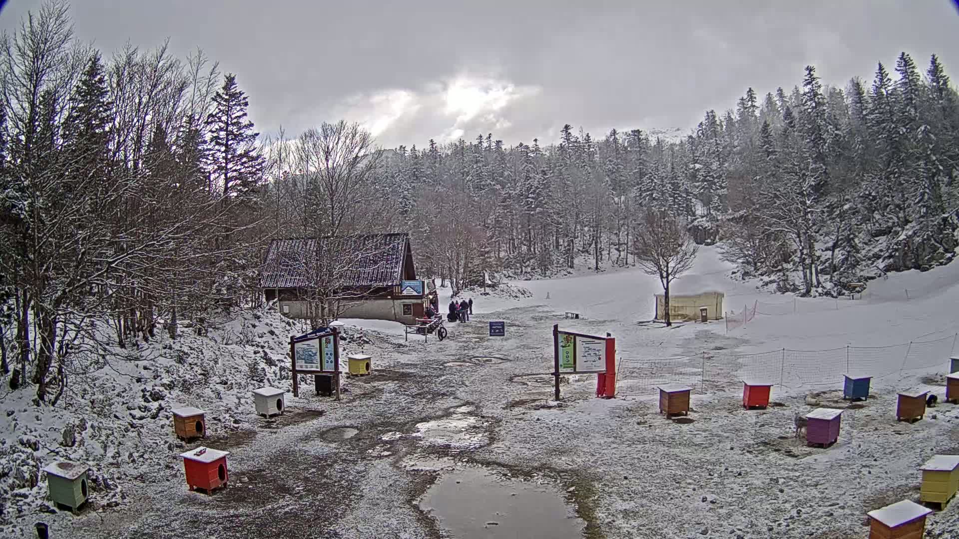 A snow-covered landscape with a small building, several colorful dog houses, and a few people near a wooded area under an overcast sky.
