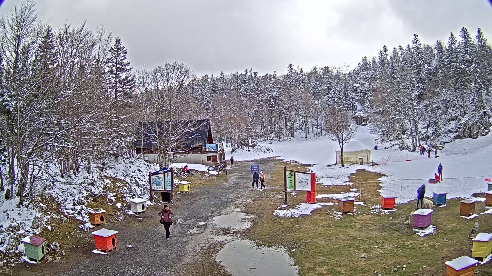 A snowy, overcast day at a ski resort shows a small building, several people walking on a path, and numerous colorful dog houses scattered around a muddy area.
