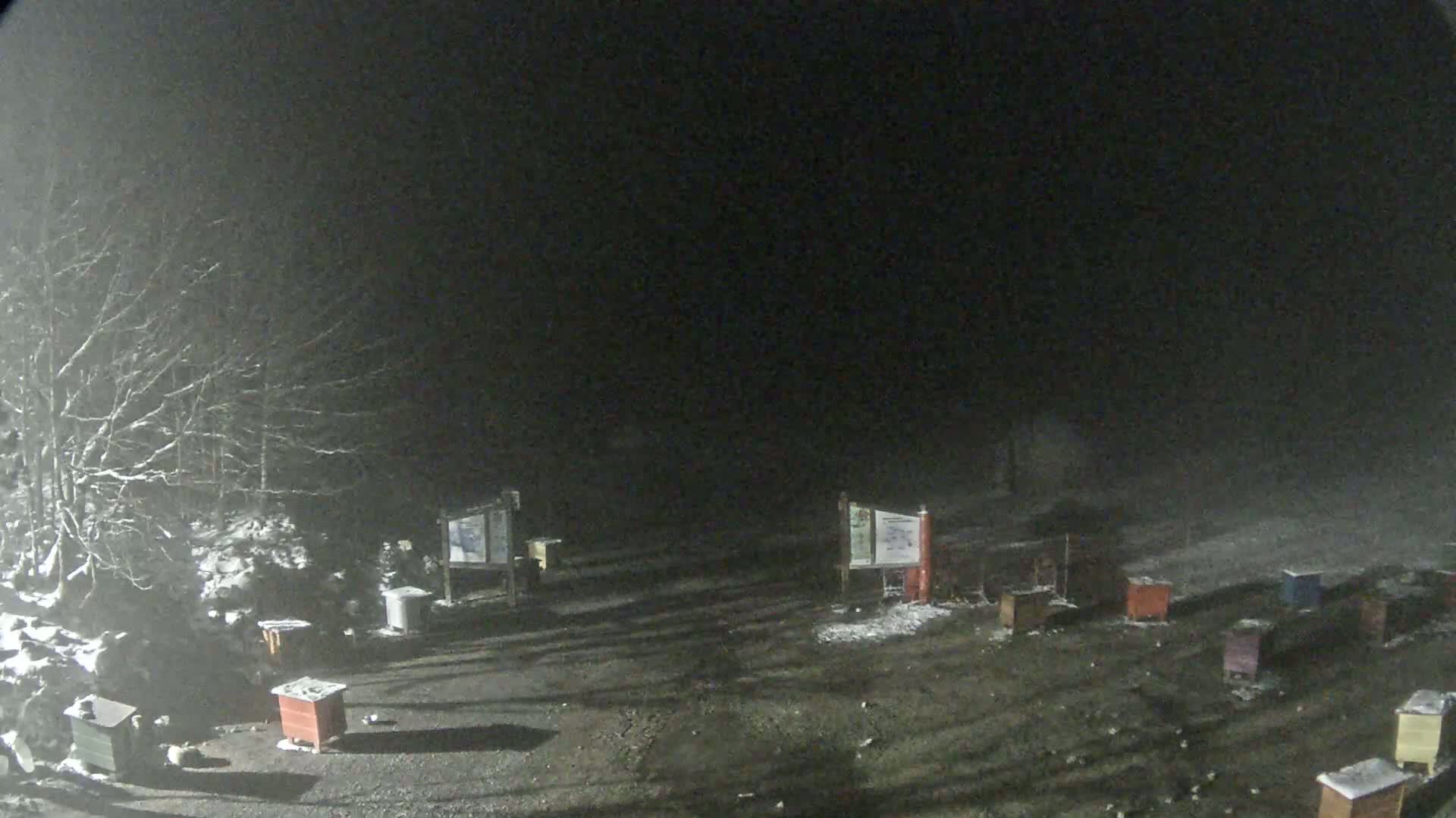 A nighttime, snowy scene shows numerous beehives scattered across a dirt lot, partially obscured by fog and snow-covered trees.