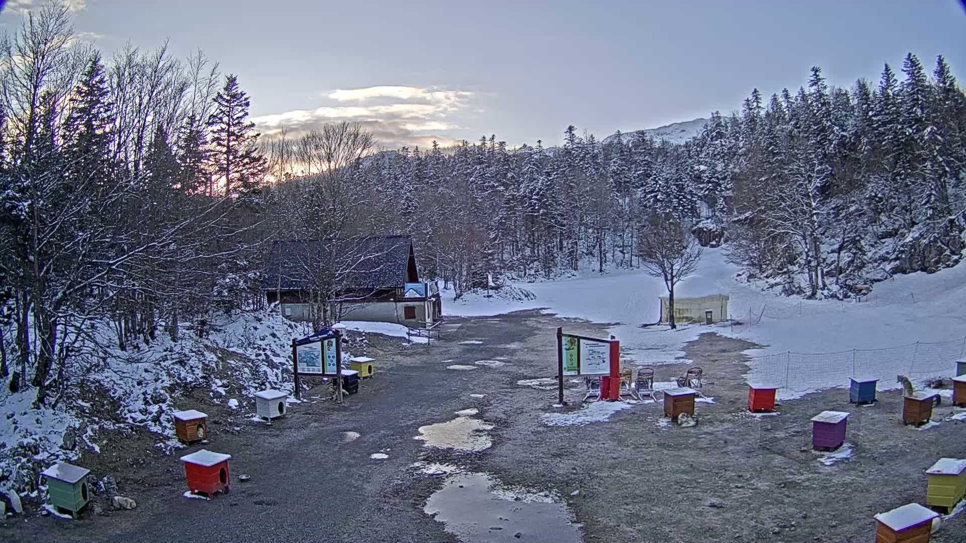 A snowy, lightly overcast scene shows a small building near a snowy, forested hillside with numerous small dog houses and puddles in a gravel area.
