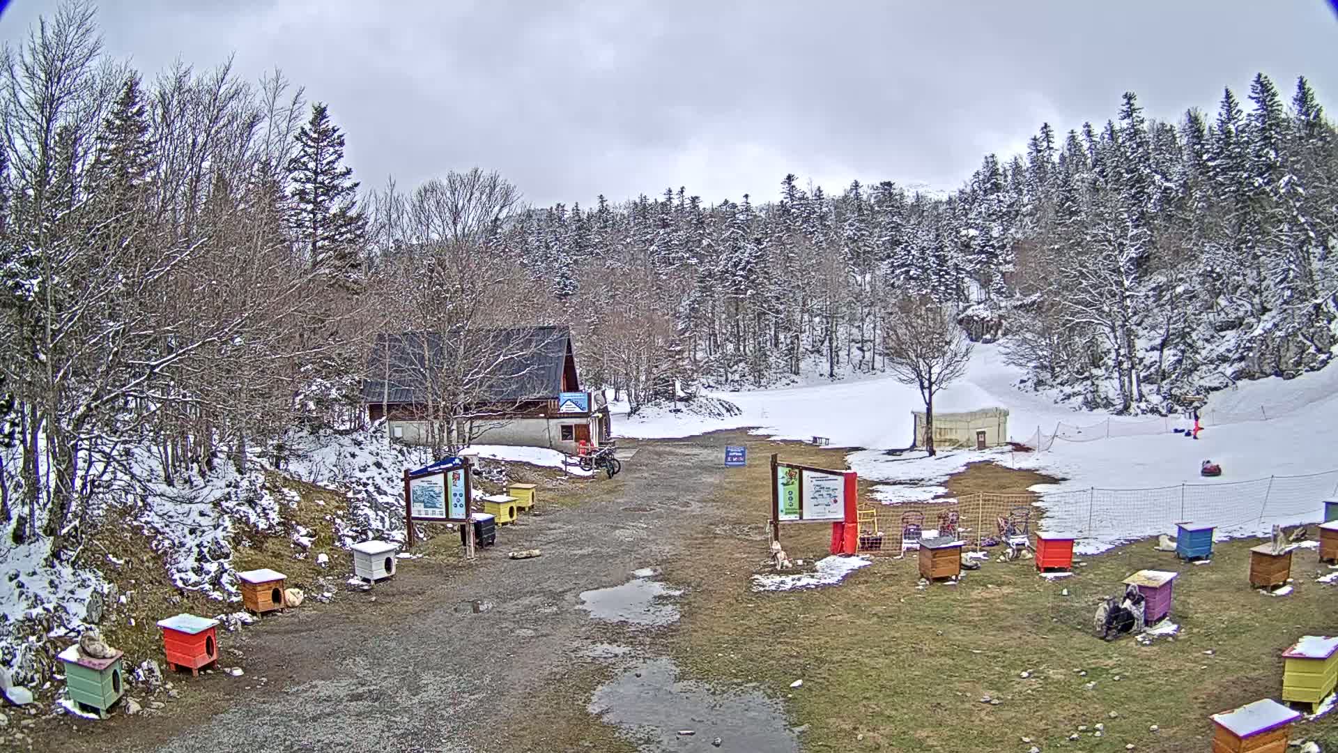 A snow-covered landscape with a small building, several colorful dog houses, and a snow tubing area under an overcast sky.