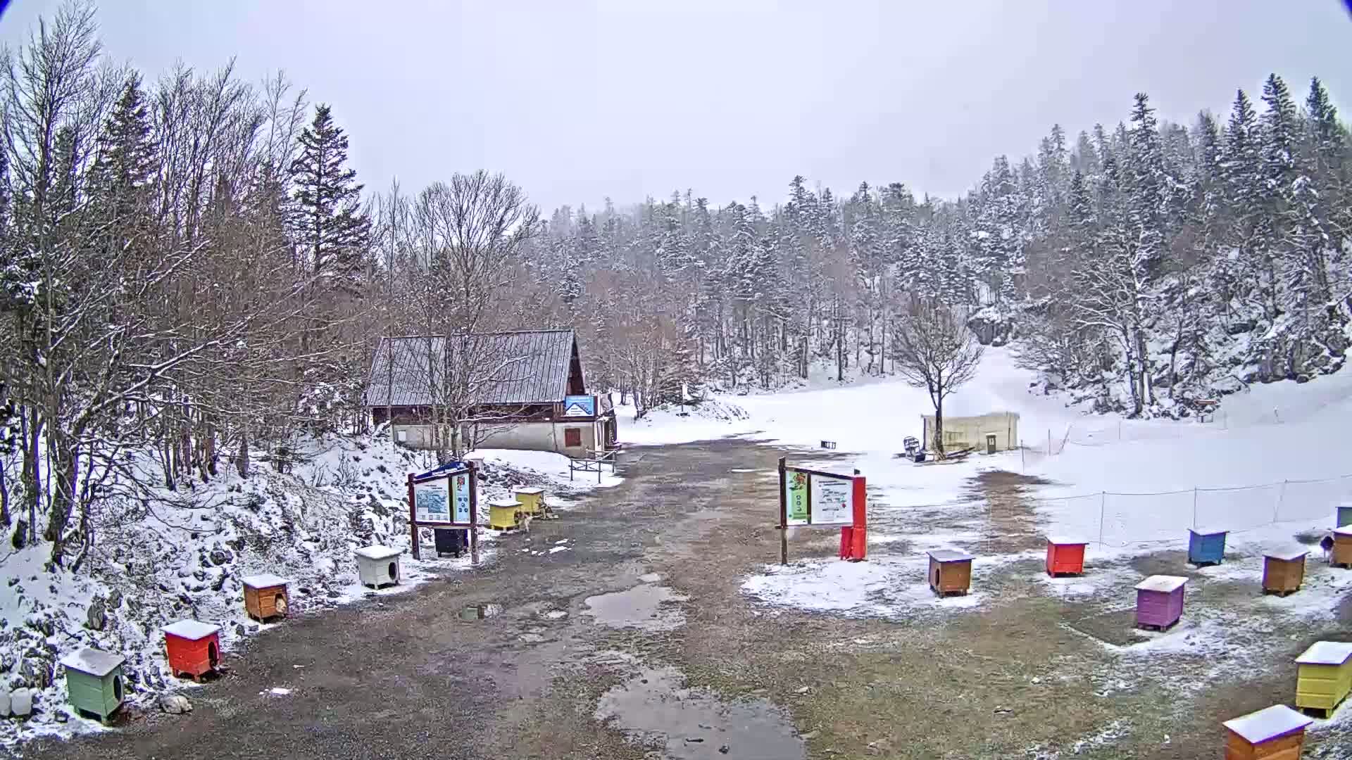 A snow-covered landscape with a small building, several colorful dog houses, and a forest in the background under a cloudy sky.