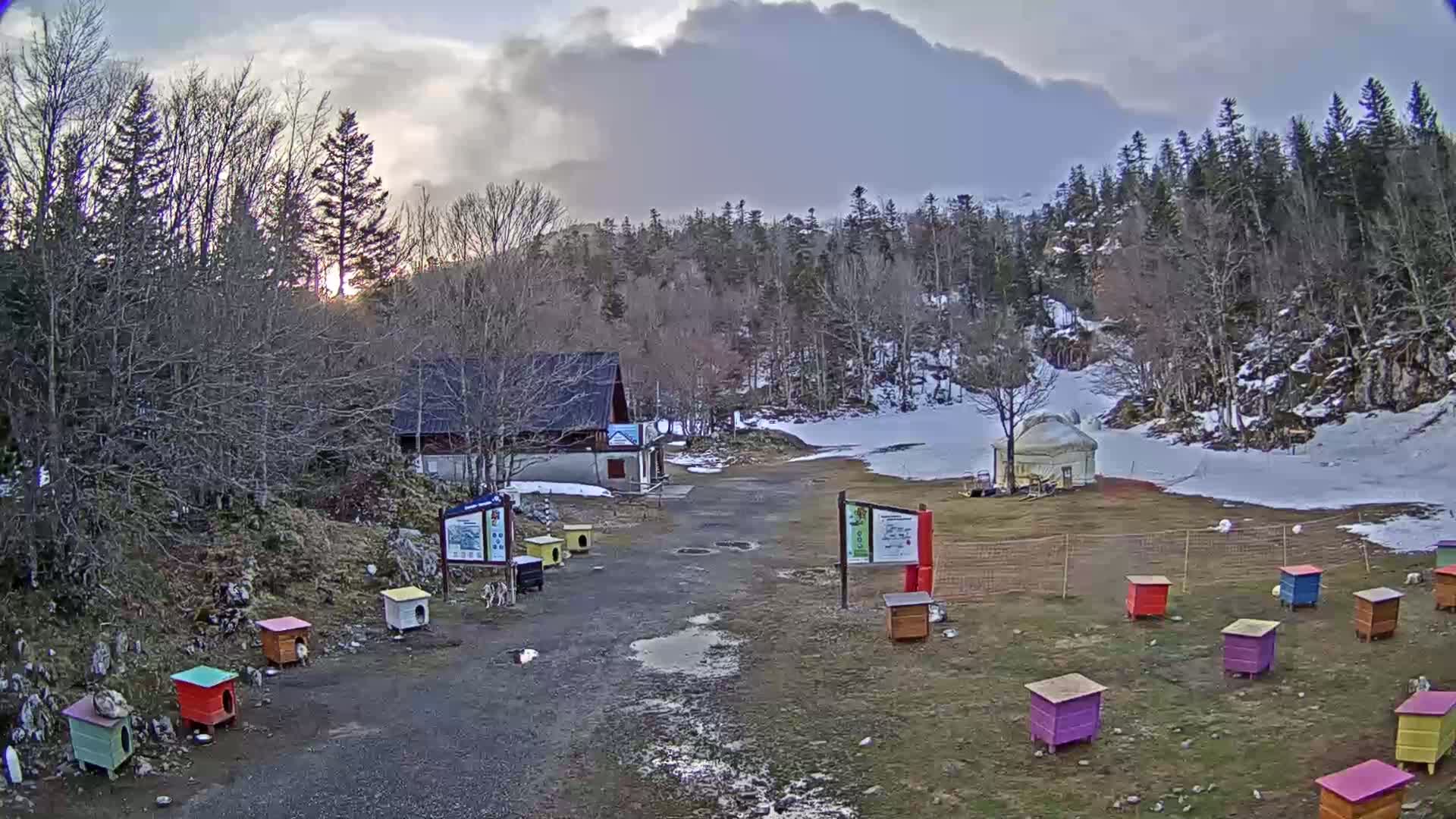 A snowy, overcast scene shows a small building and several colorful dog houses and beehives in a clearing surrounded by bare deciduous trees and evergreens.