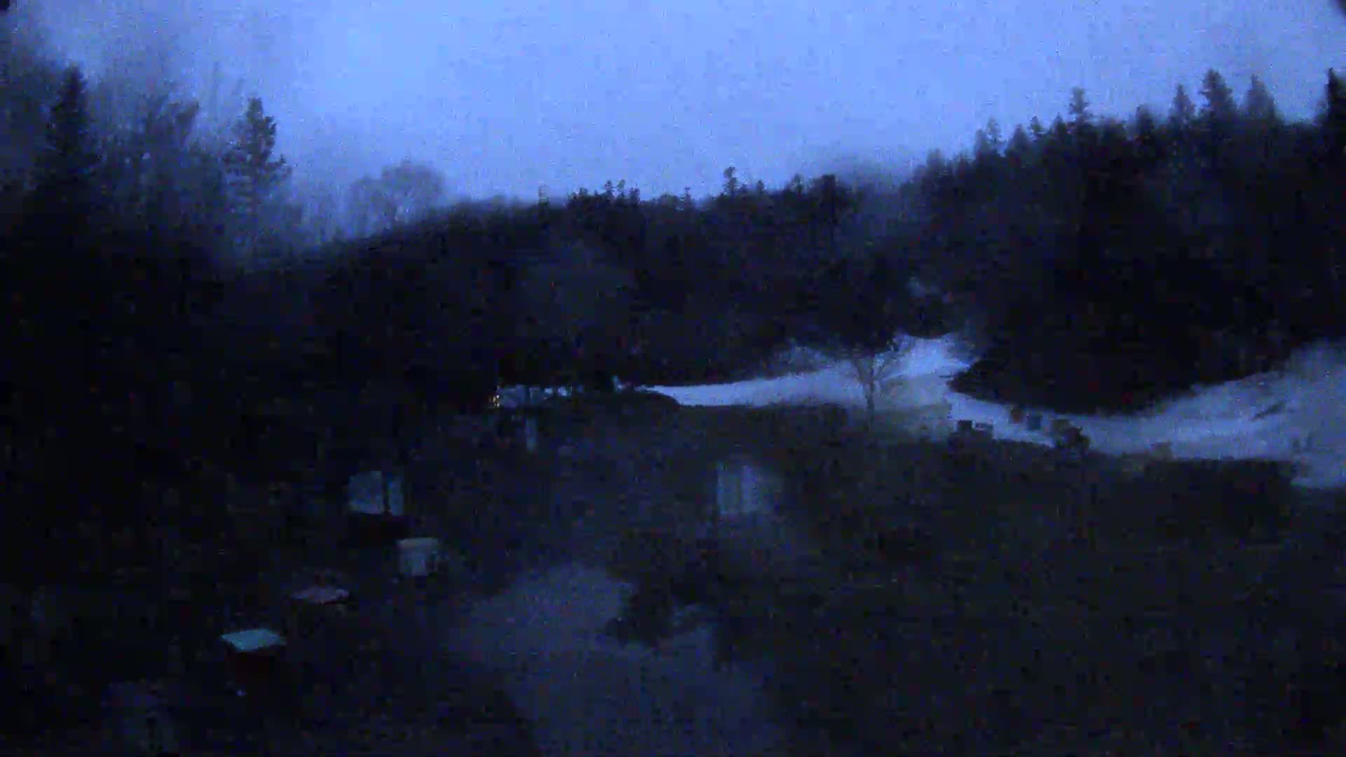 A dark, nighttime scene shows a wooded area with a few faint lights visible near some structures in the foreground under a dusky blue sky.