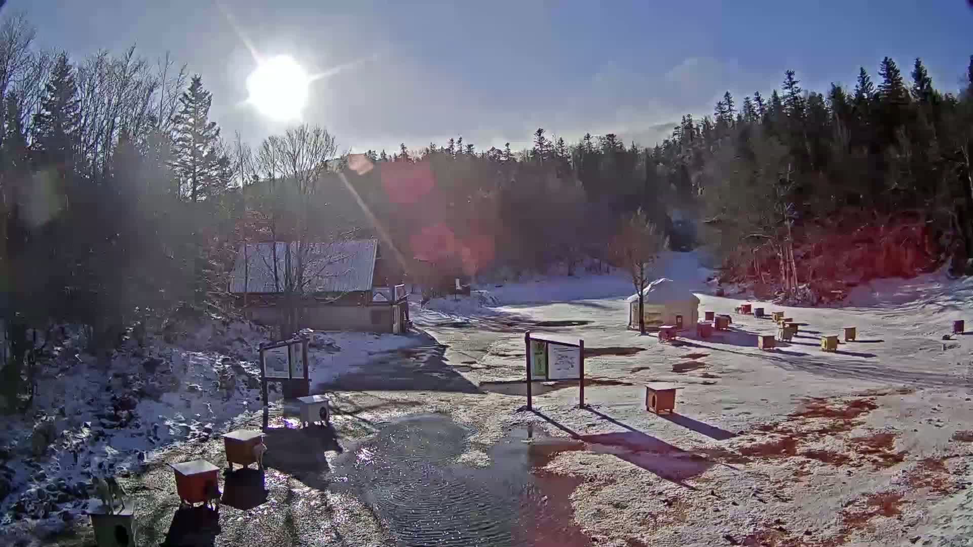 A sunny winter day at a snow-covered outdoor area with a small building, numerous small structures, and a background of pine trees.