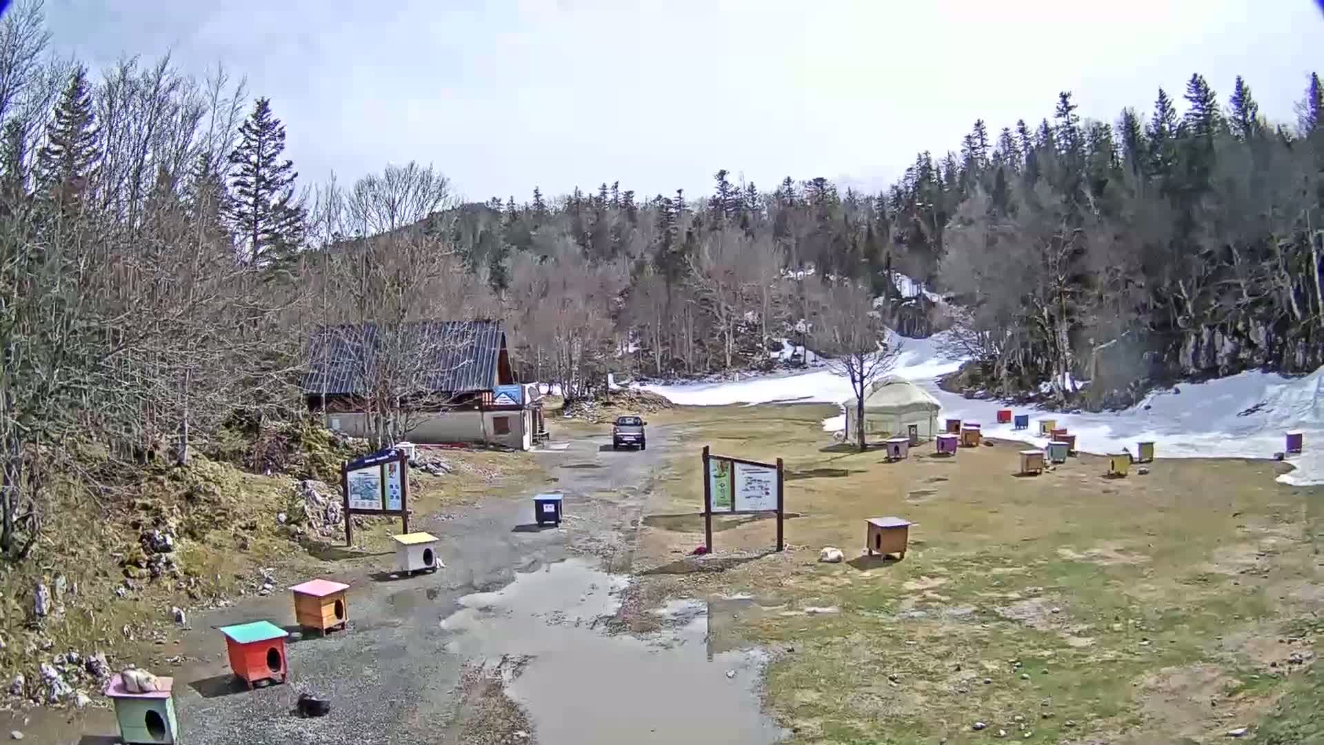 A truck is parked in a gravel lot next to a small building, surrounded by colorful dog houses and a yurt, with a partially snow-covered background and patchy, muddy puddles in the foreground under a mostly clear sky.