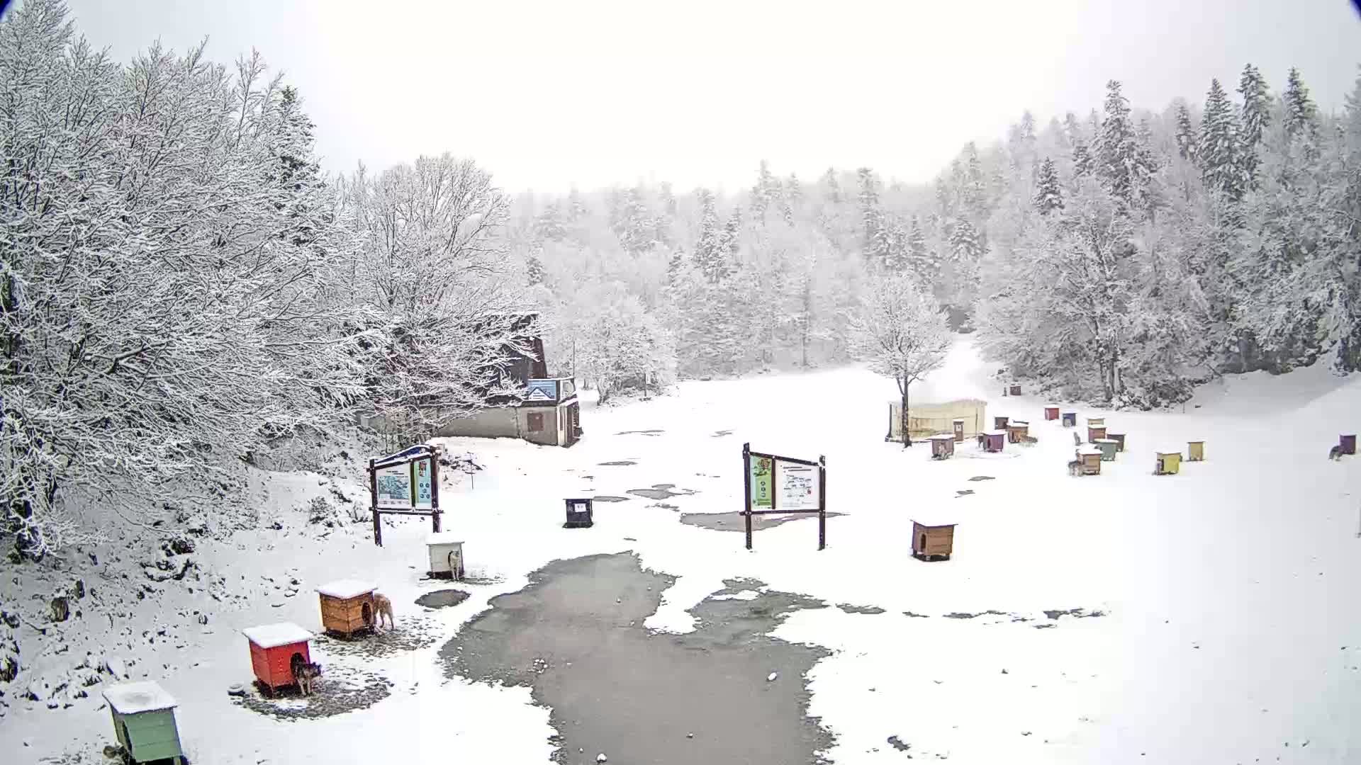A snow-covered landscape with numerous small dog houses scattered across a partially frozen pond, surrounded by snow-laden trees and a small building.