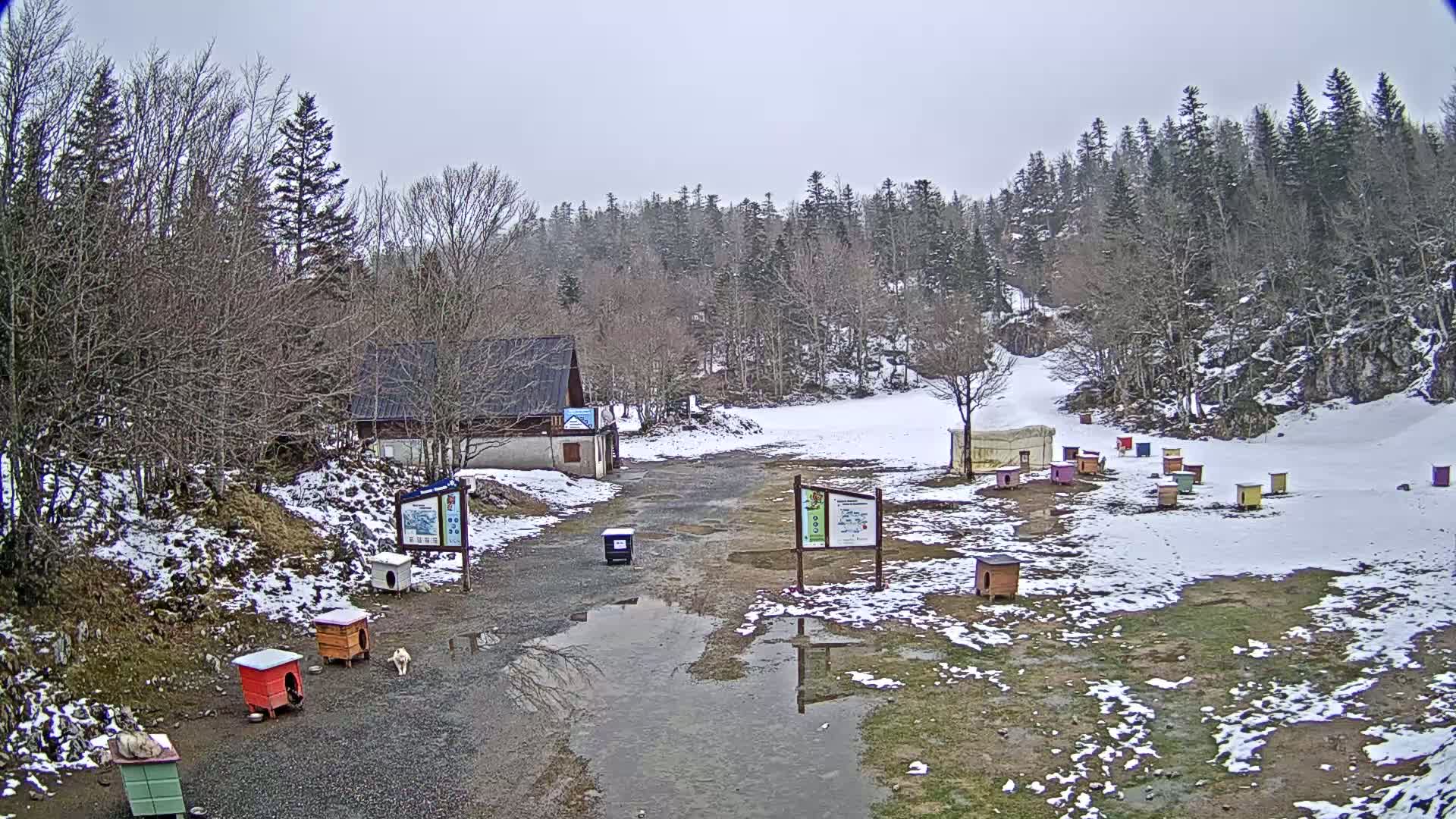 A snowy, overcast scene shows a small building, numerous colorful dog houses, and a muddy, partially snow-covered area surrounded by a forest.