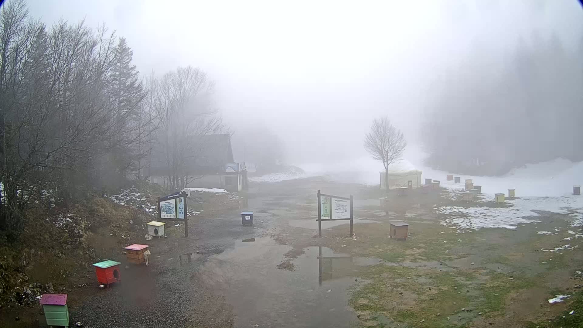 A foggy, snowy landscape with puddles, small colorful structures, and bare trees surrounds a building partially obscured by fog.