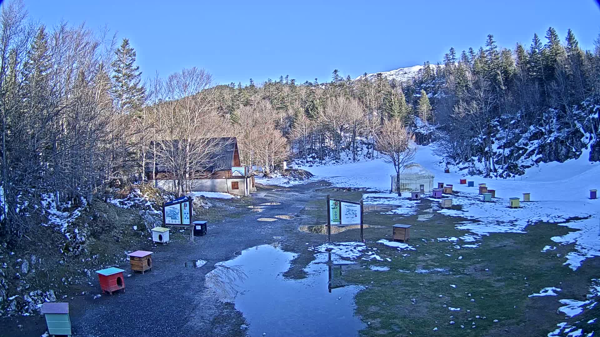 A snow-dusted, grassy area with a small building, numerous colorful dog houses, and beehives, under a clear blue sky.