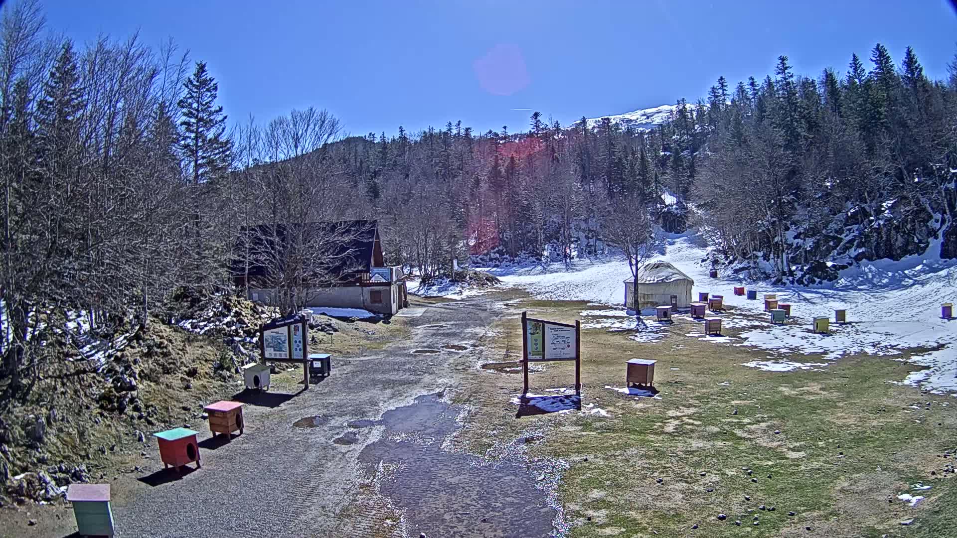 A dirt road with puddles leads to a small building and a cluster of colorful beehives, situated in a snowy, mountainous area under a clear blue sky.