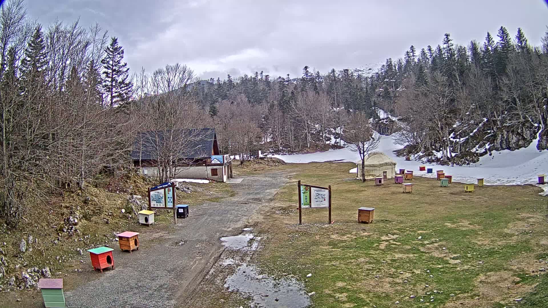 A gravel road leads to a small building and yurt, surrounded by colorful beehives and dog houses, in a clearing within a snow-dusted forest under an overcast sky.