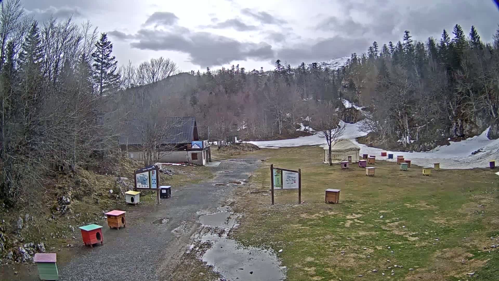 A gravel road leads to a small building and a grassy area with several colorful small structures and a yurt, all surrounded by a forest under an overcast sky.