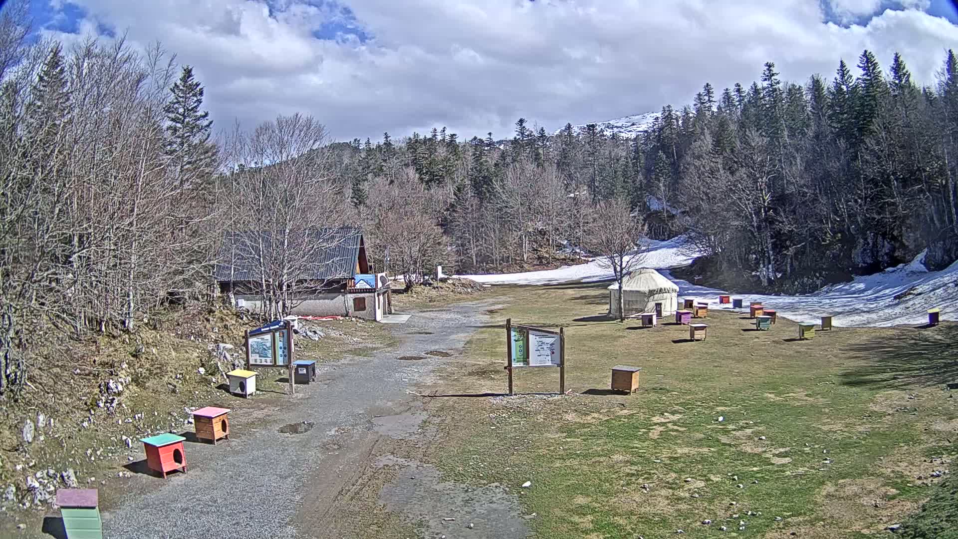 A mostly sunny day with partly cloudy skies shows a small building and a yurt near a grassy area with colorful beehives, dog houses, and some remaining snow patches, all surrounded by a forest of leafless trees and snow-capped mountains in the distance.