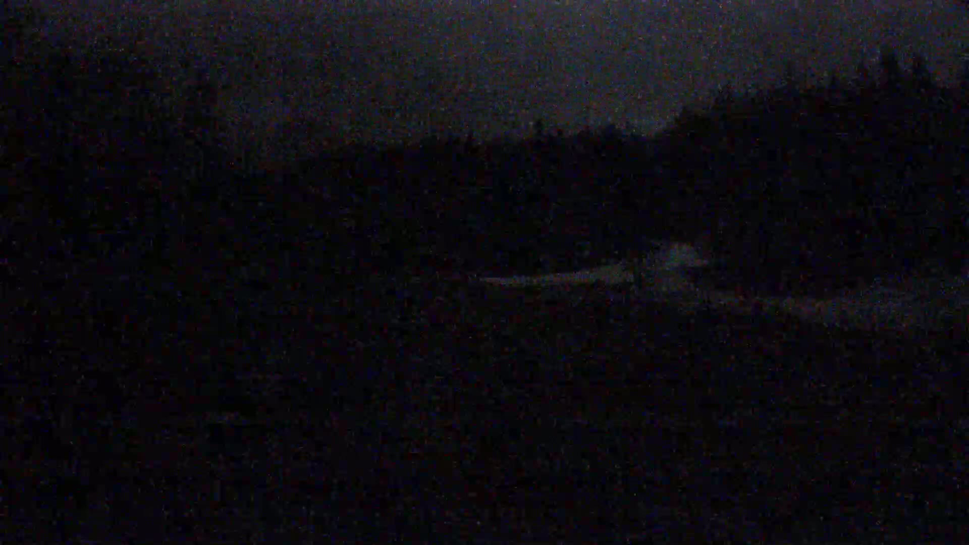 A dark, nighttime scene shows a dimly lit road cutting through a heavily wooded area under a cloudy sky.