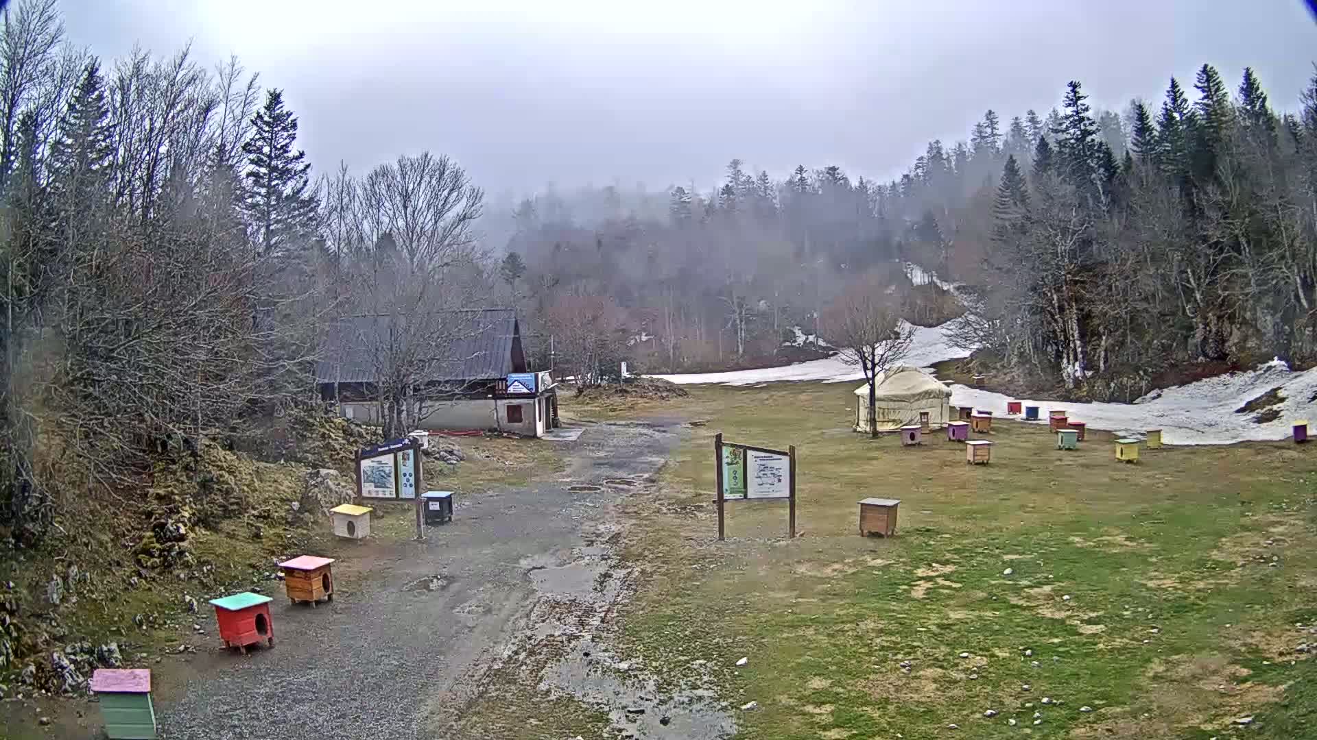 A muddy path leads to a small building and a yurt in a foggy, wooded area with patches of snow and numerous colorful small structures scattered on the grass.