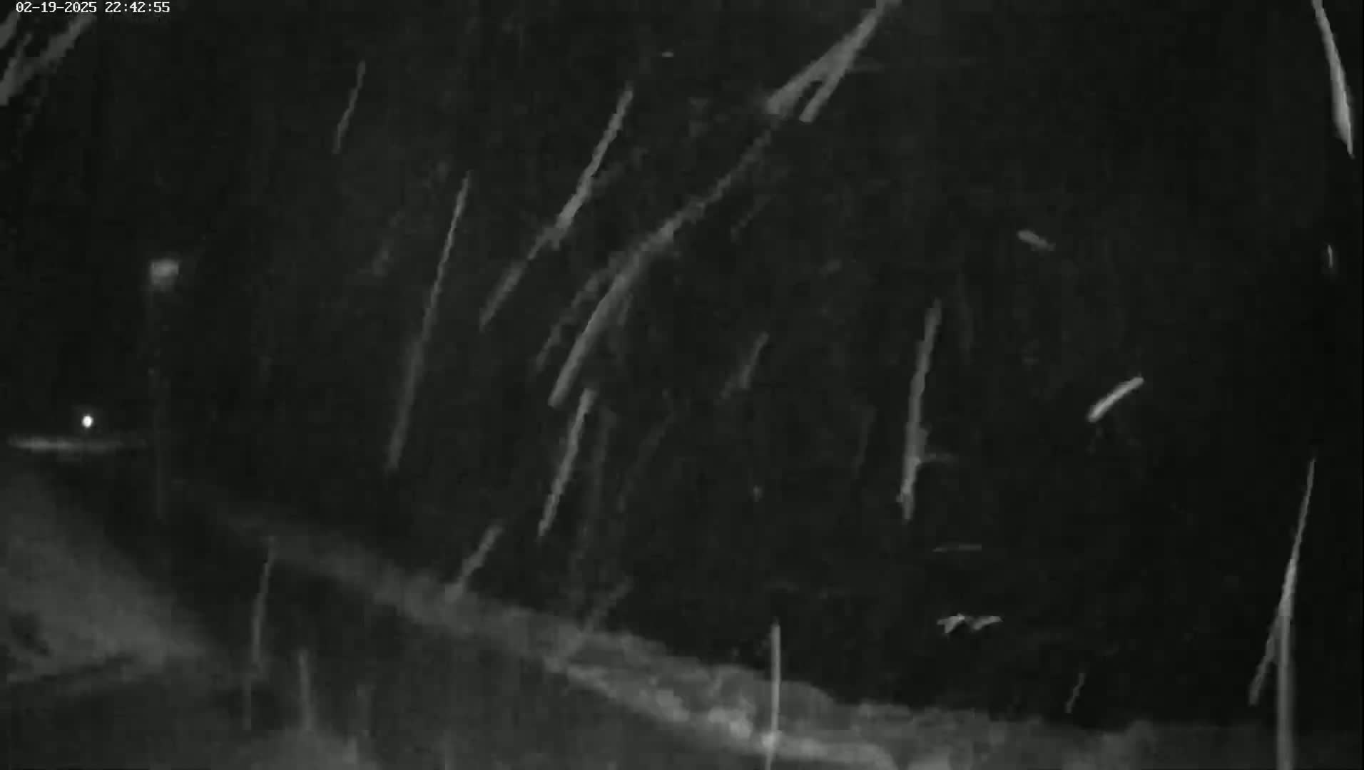 A nighttime outdoor scene shows snow falling heavily against a dark background.