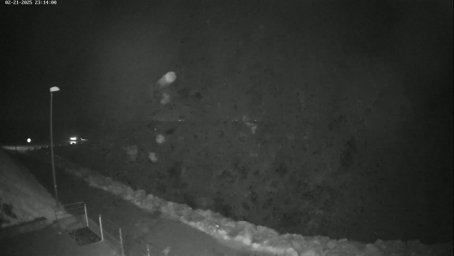 A nighttime scene of snow falling heavily near a road with a streetlight and some snow accumulation visible on the ground.
