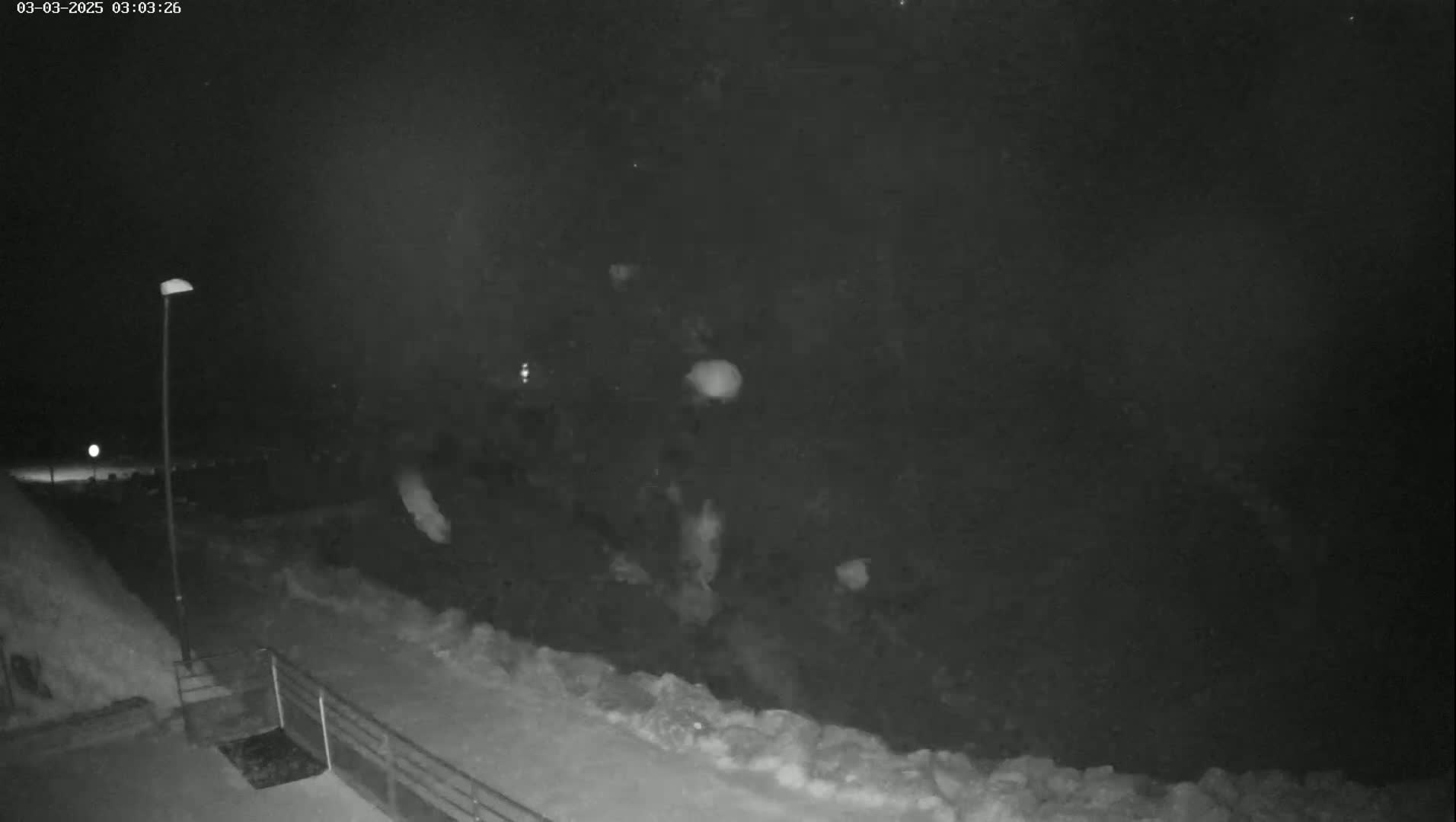 A nighttime, low-light security camera image shows a snow-covered area with a lamppost and some indistinct objects in the distance.